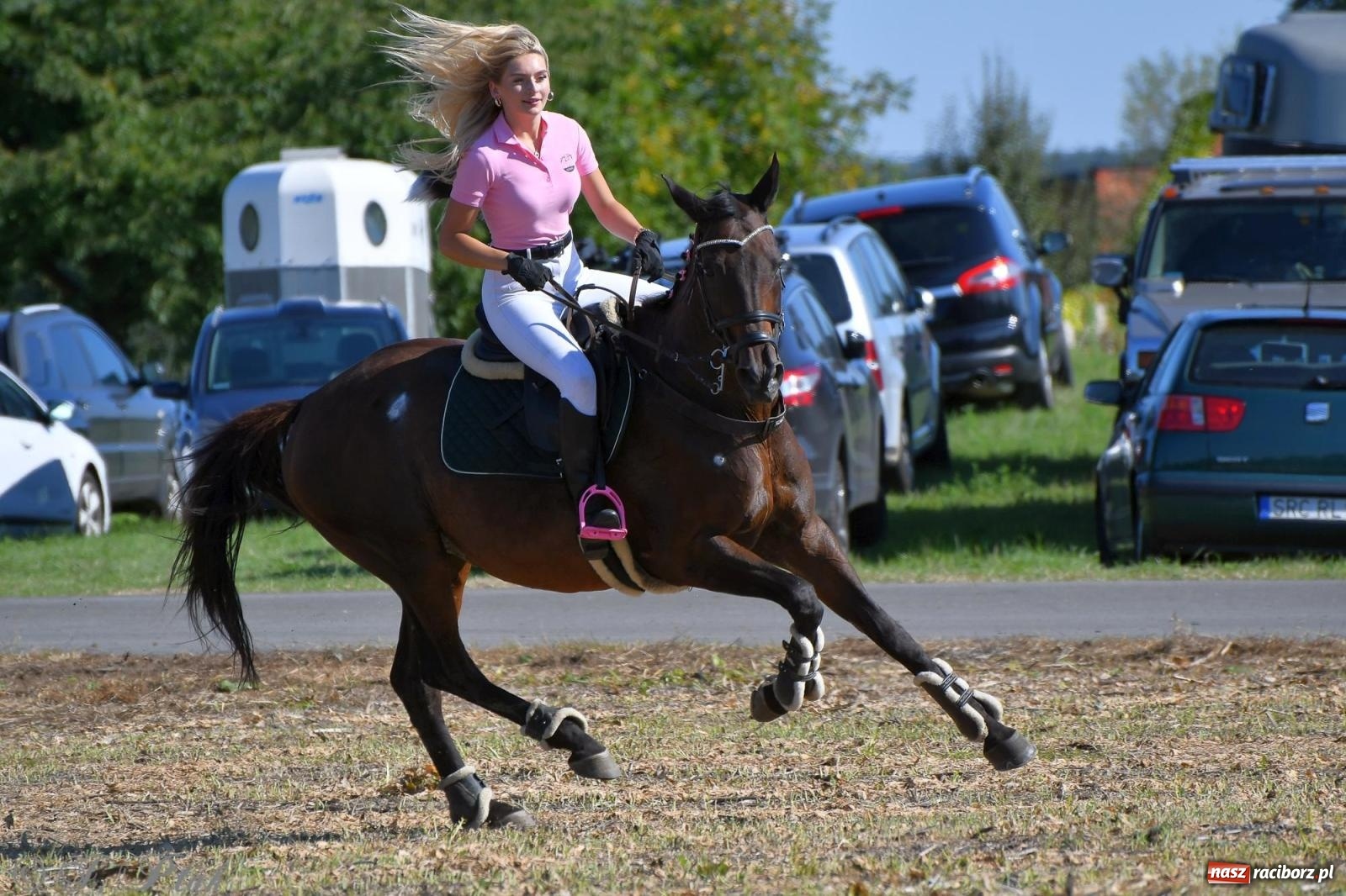 Zdjęcie w galerii na portalu naszraciborz.pl: Raciborski Hubertus - pogoń za lisem wiadomości z regionu