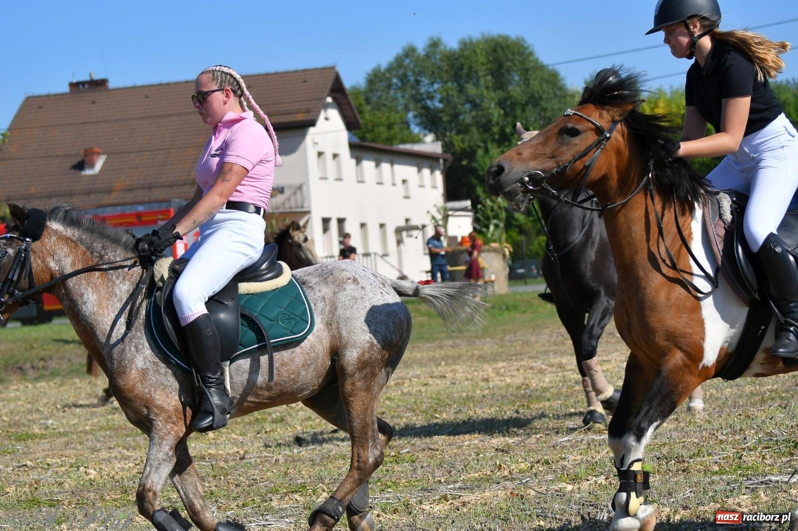 Zdjęcie w galerii na portalu naszraciborz.pl: Raciborski Hubertus - pogoń za lisem wiadomości z regionu
