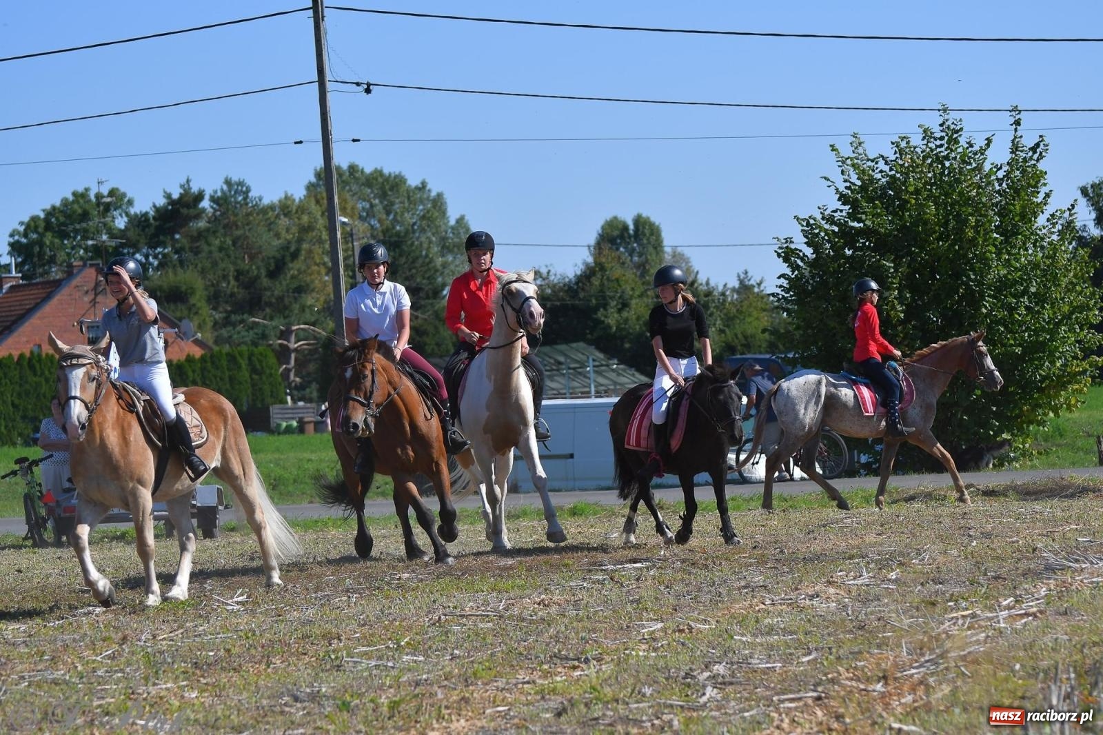 Zdjęcie w galerii na portalu naszraciborz.pl: Raciborski Hubertus - pogoń za lisem wiadomości z regionu