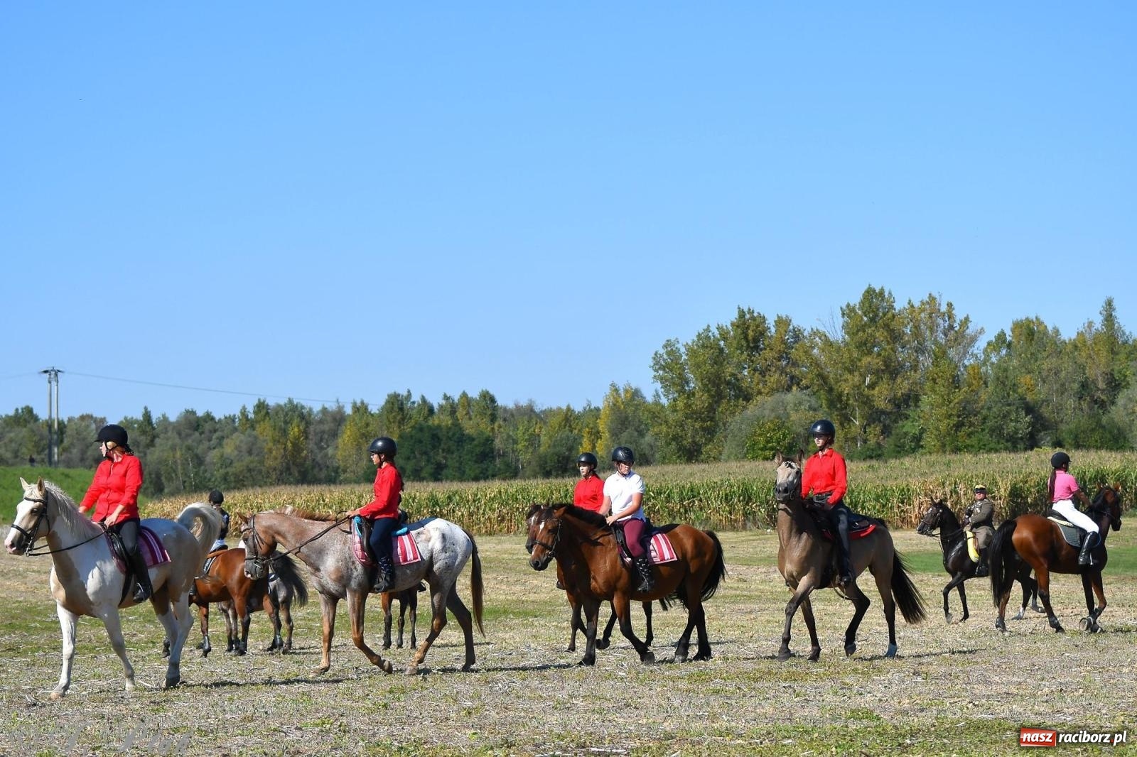 Zdjęcie w galerii na portalu naszraciborz.pl: Raciborski Hubertus - pogoń za lisem wiadomości z regionu