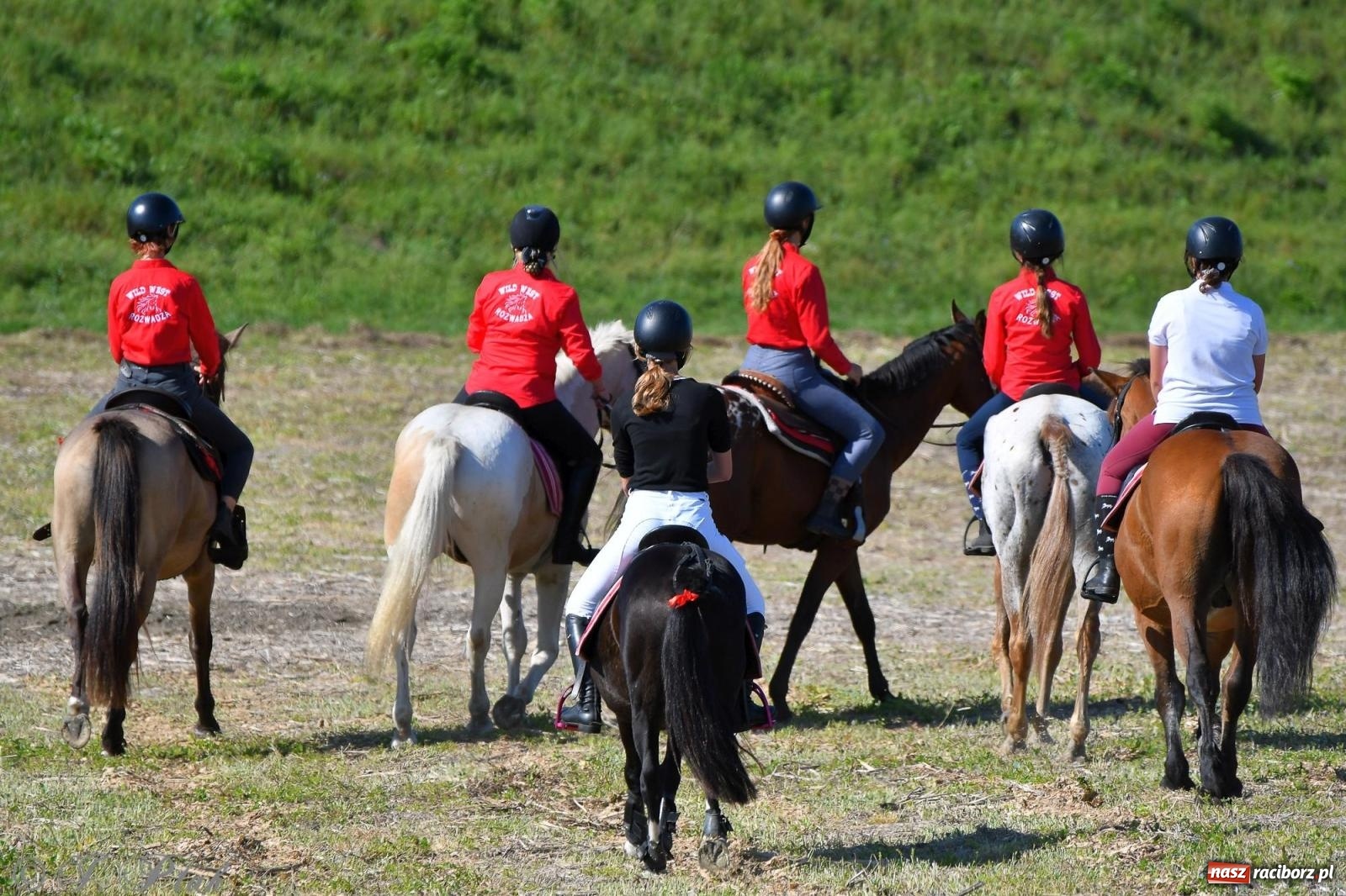 Zdjęcie w galerii na portalu naszraciborz.pl: Raciborski Hubertus - pogoń za lisem wiadomości z regionu