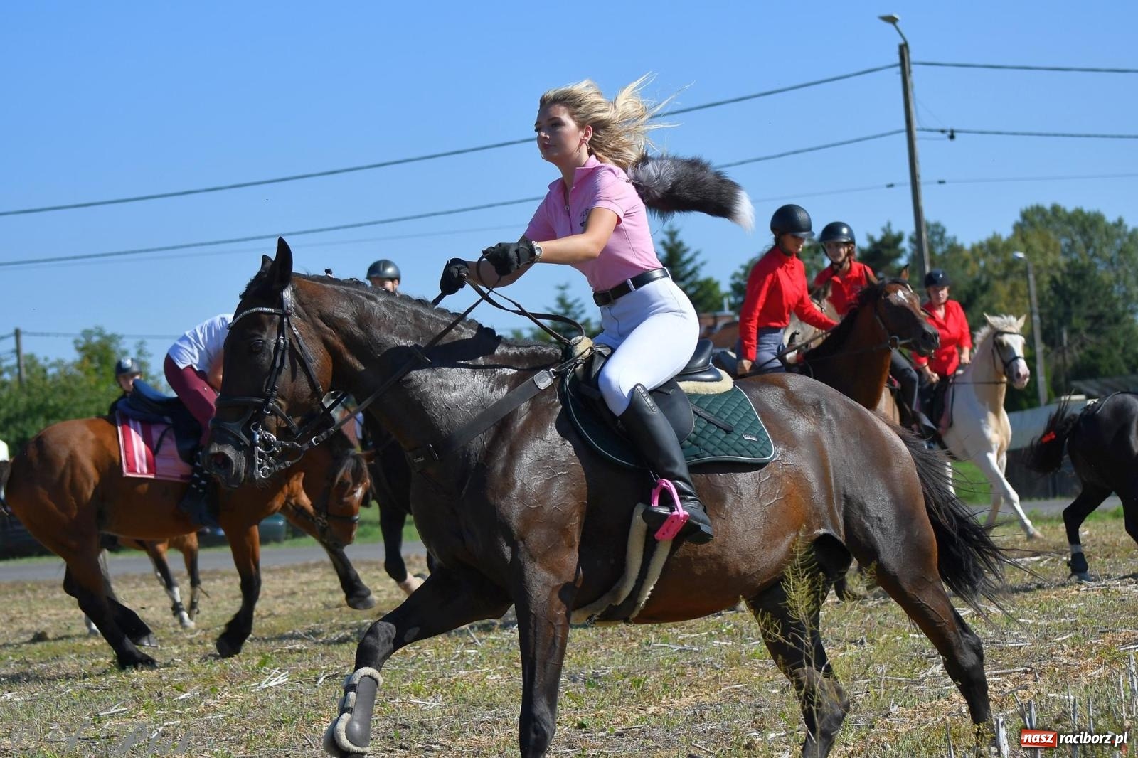 Zdjęcie w galerii na portalu naszraciborz.pl: Raciborski Hubertus - pogoń za lisem wiadomości z regionu