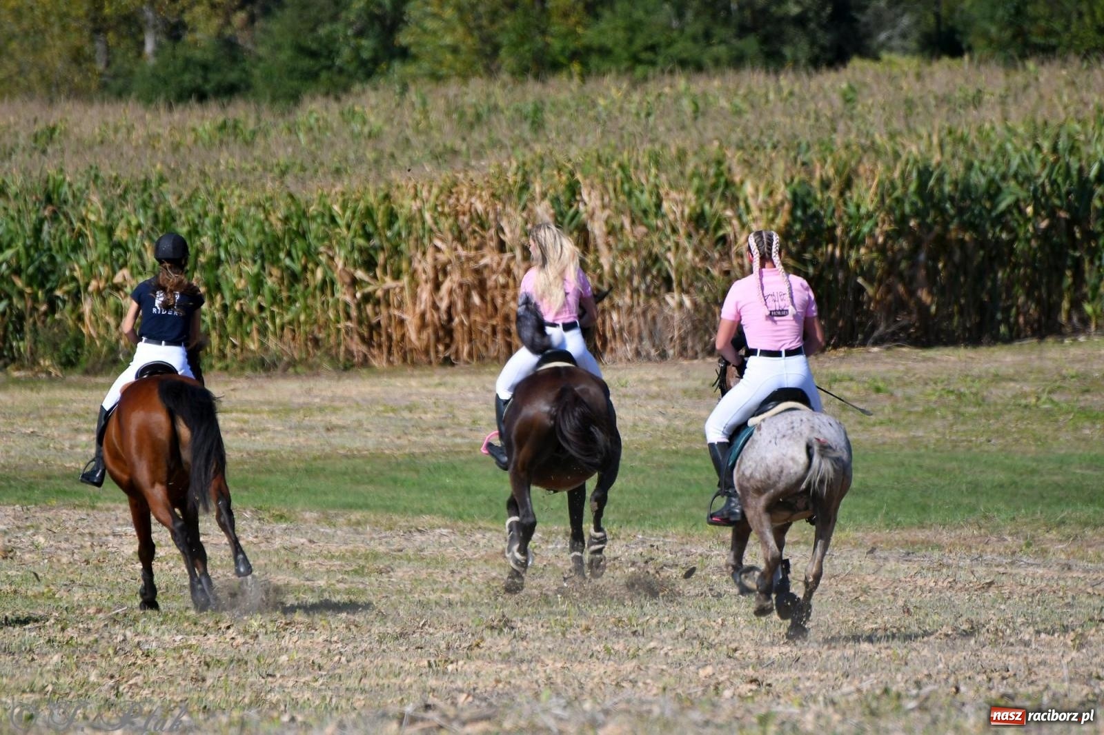 Zdjęcie w galerii na portalu naszraciborz.pl: Raciborski Hubertus - pogoń za lisem wiadomości z regionu