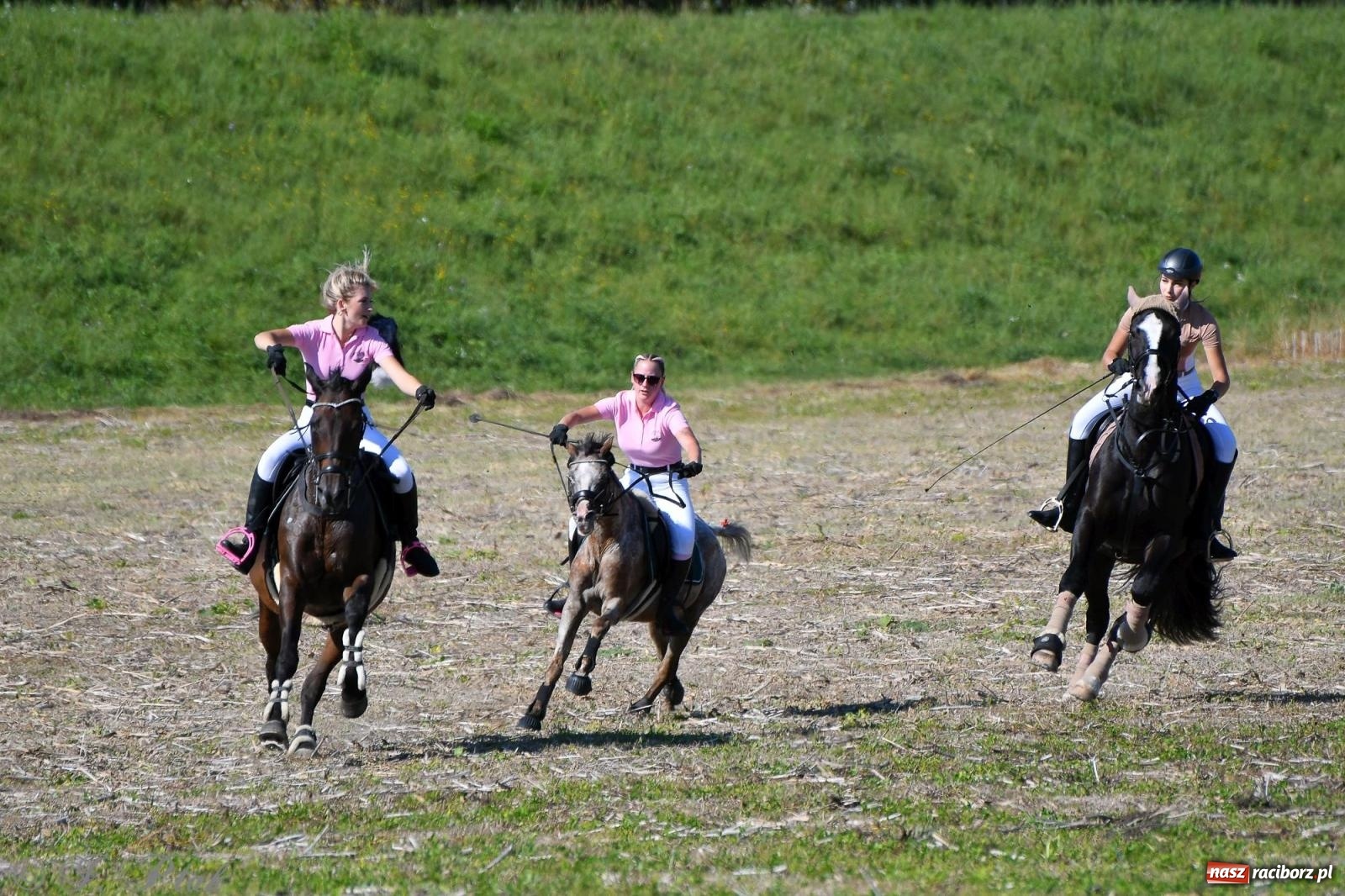 Zdjęcie w galerii na portalu naszraciborz.pl: Raciborski Hubertus - pogoń za lisem wiadomości z regionu