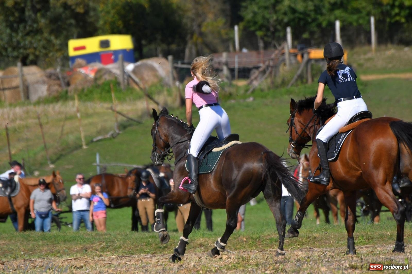 Zdjęcie w galerii na portalu naszraciborz.pl: Raciborski Hubertus - pogoń za lisem wiadomości z regionu