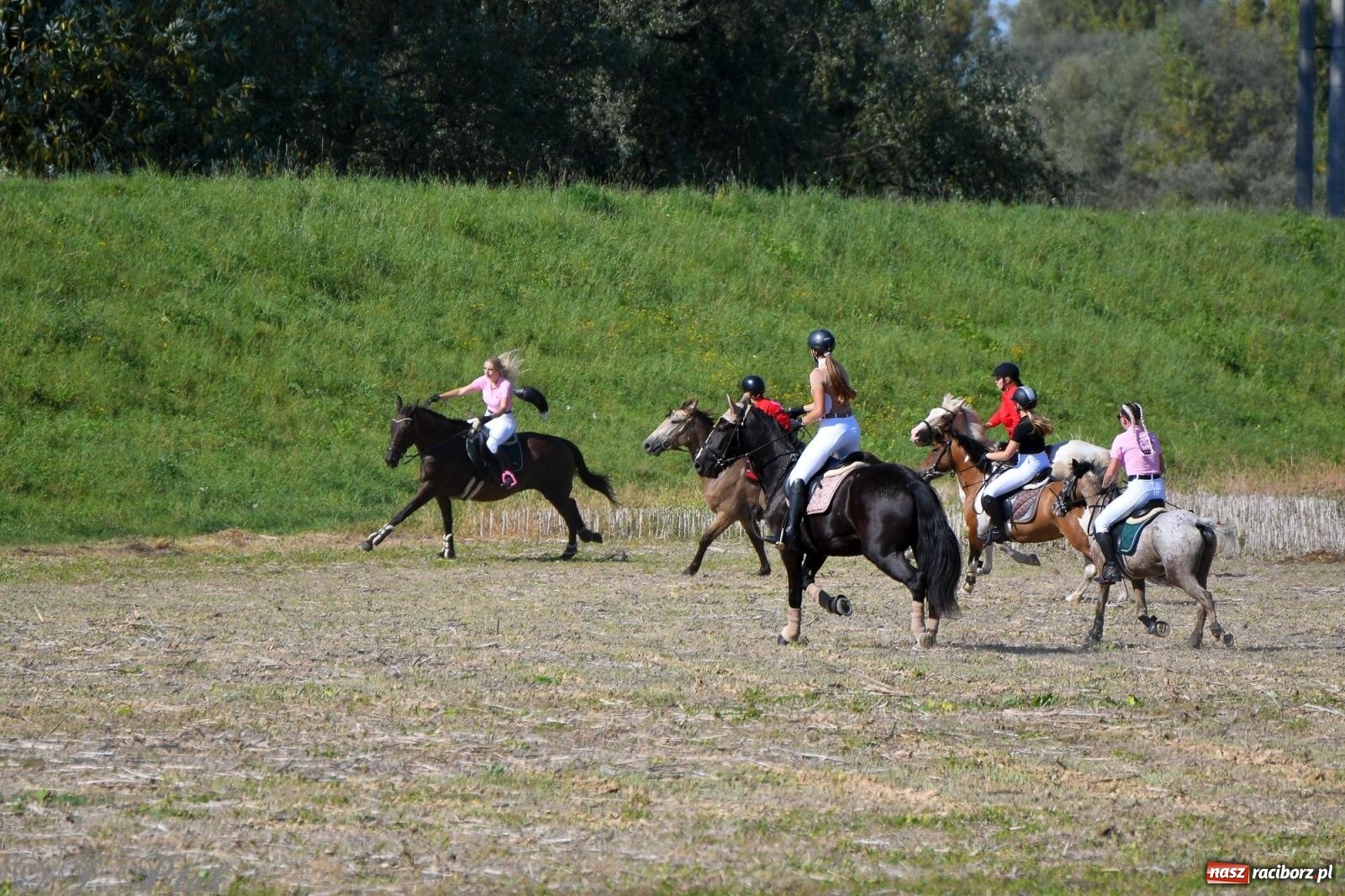 Zdjęcie w galerii na portalu naszraciborz.pl: Raciborski Hubertus - pogoń za lisem wiadomości z regionu