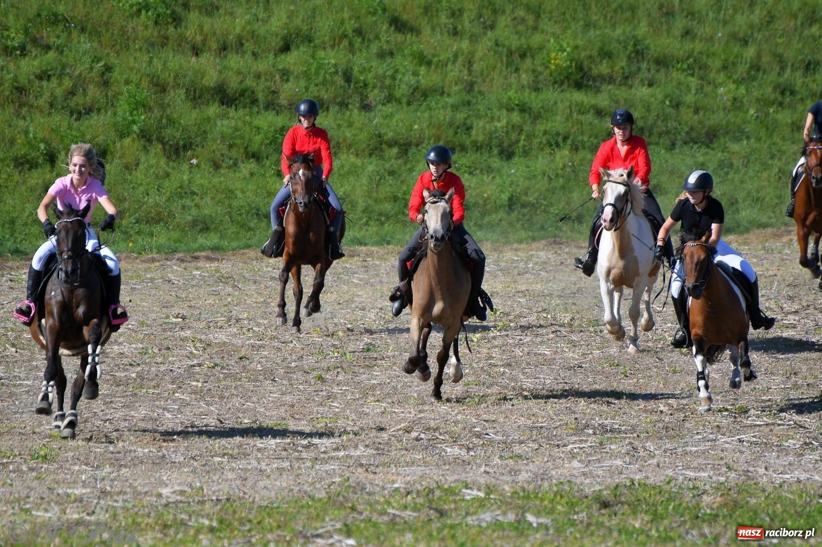 Zdjęcie w galerii na portalu naszraciborz.pl: Raciborski Hubertus - pogoń za lisem wiadomości z regionu