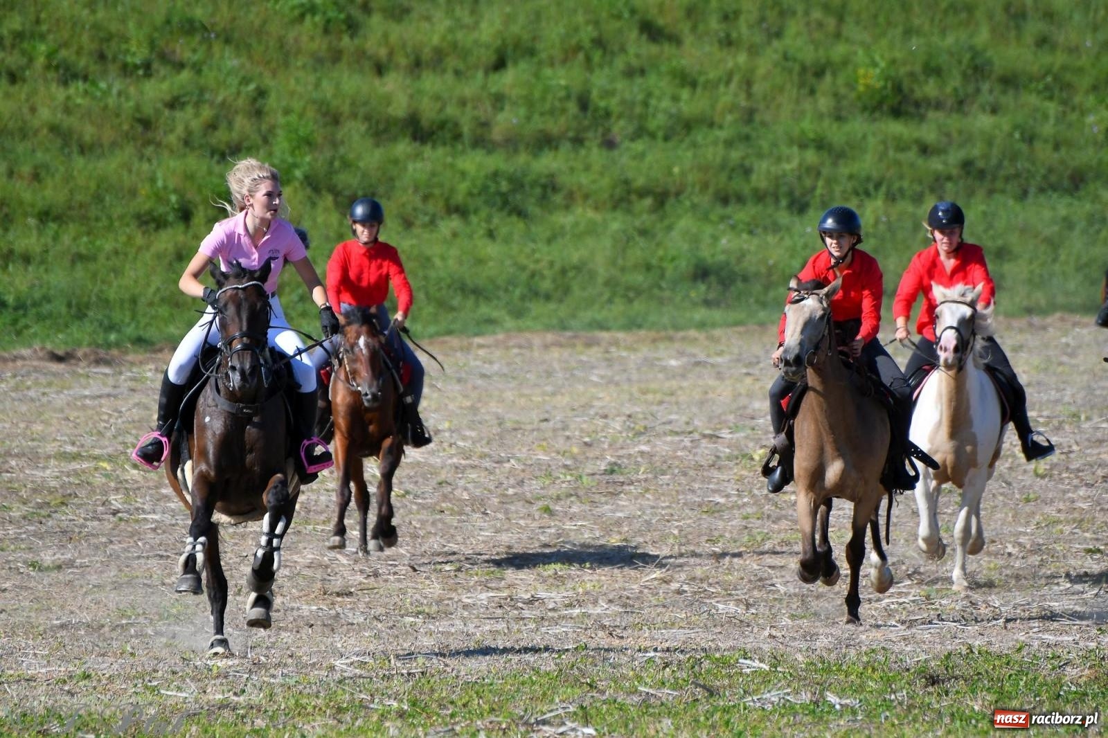 Zdjęcie w galerii na portalu naszraciborz.pl: Raciborski Hubertus - pogoń za lisem wiadomości z regionu