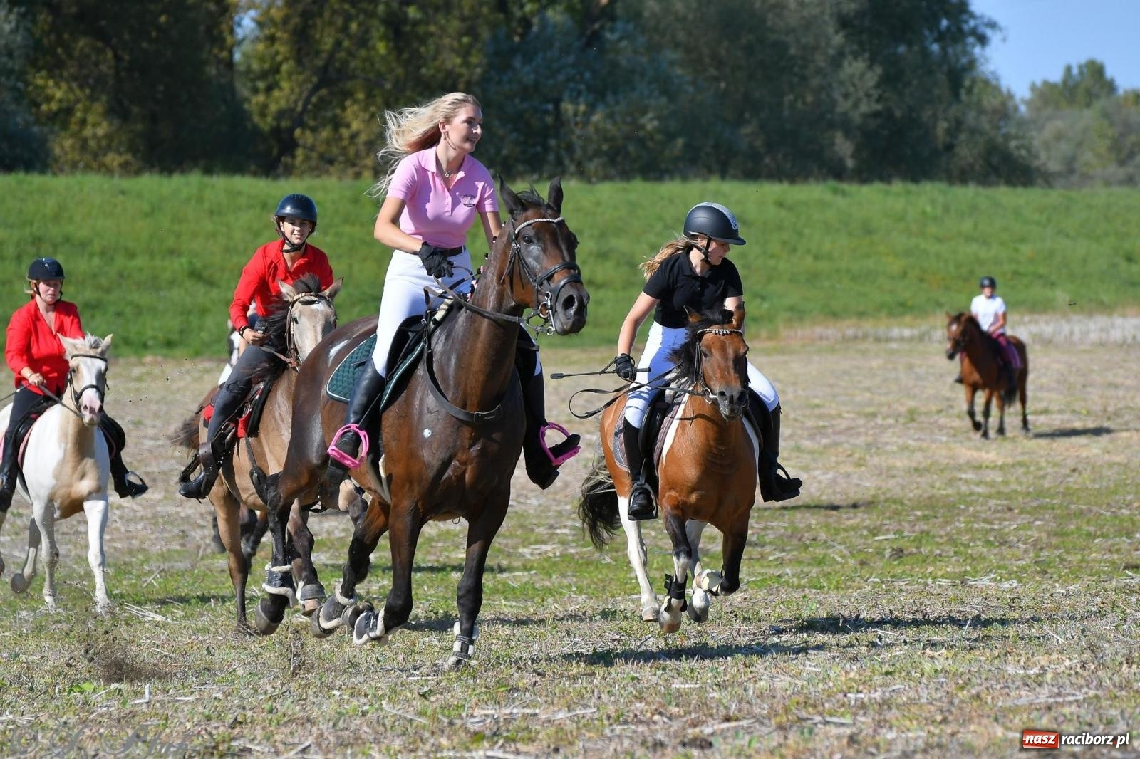 Zdjęcie w galerii na portalu naszraciborz.pl: Raciborski Hubertus - pogoń za lisem wiadomości z regionu