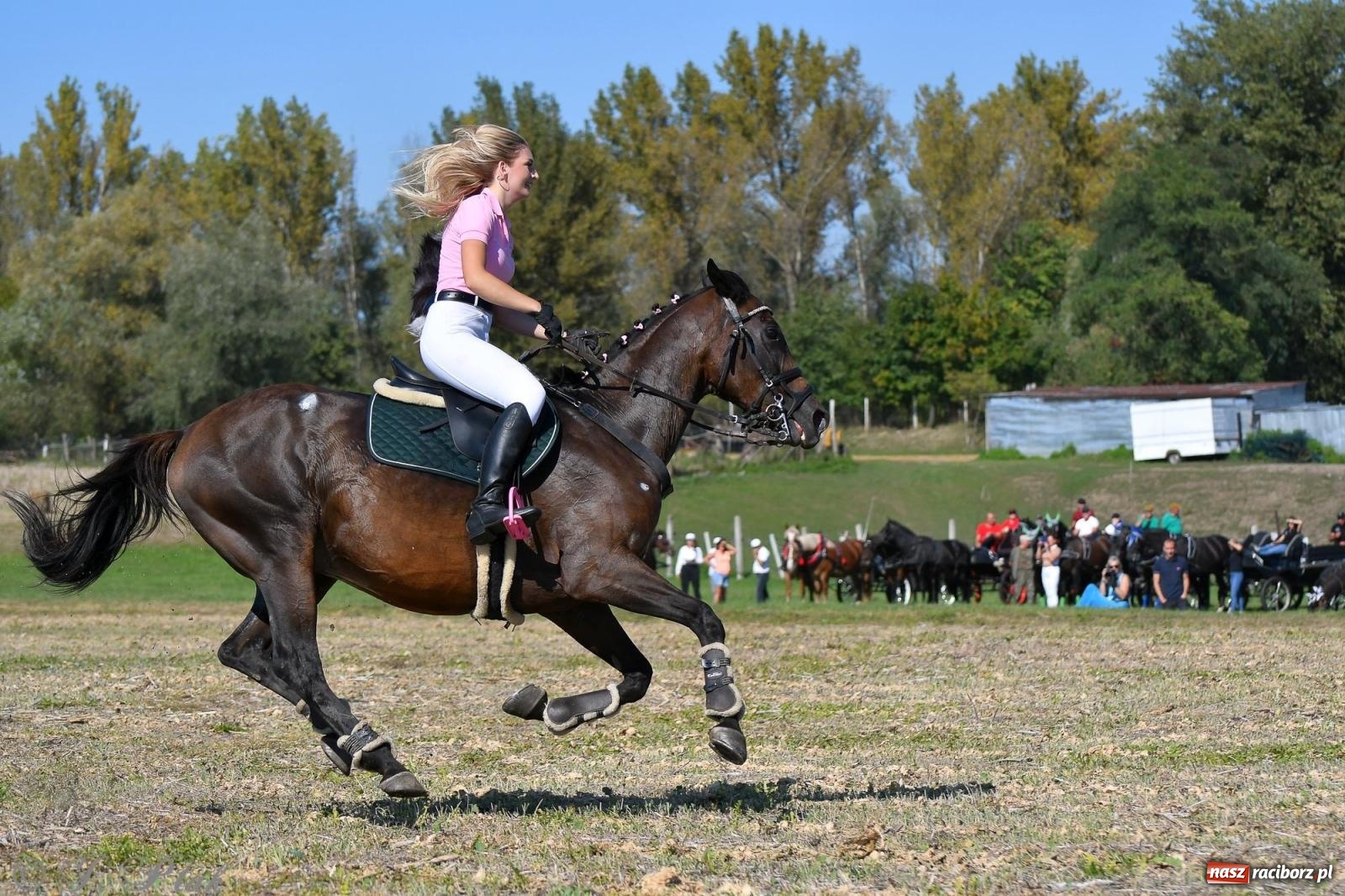 Zdjęcie w galerii na portalu naszraciborz.pl: Raciborski Hubertus - pogoń za lisem wiadomości z regionu