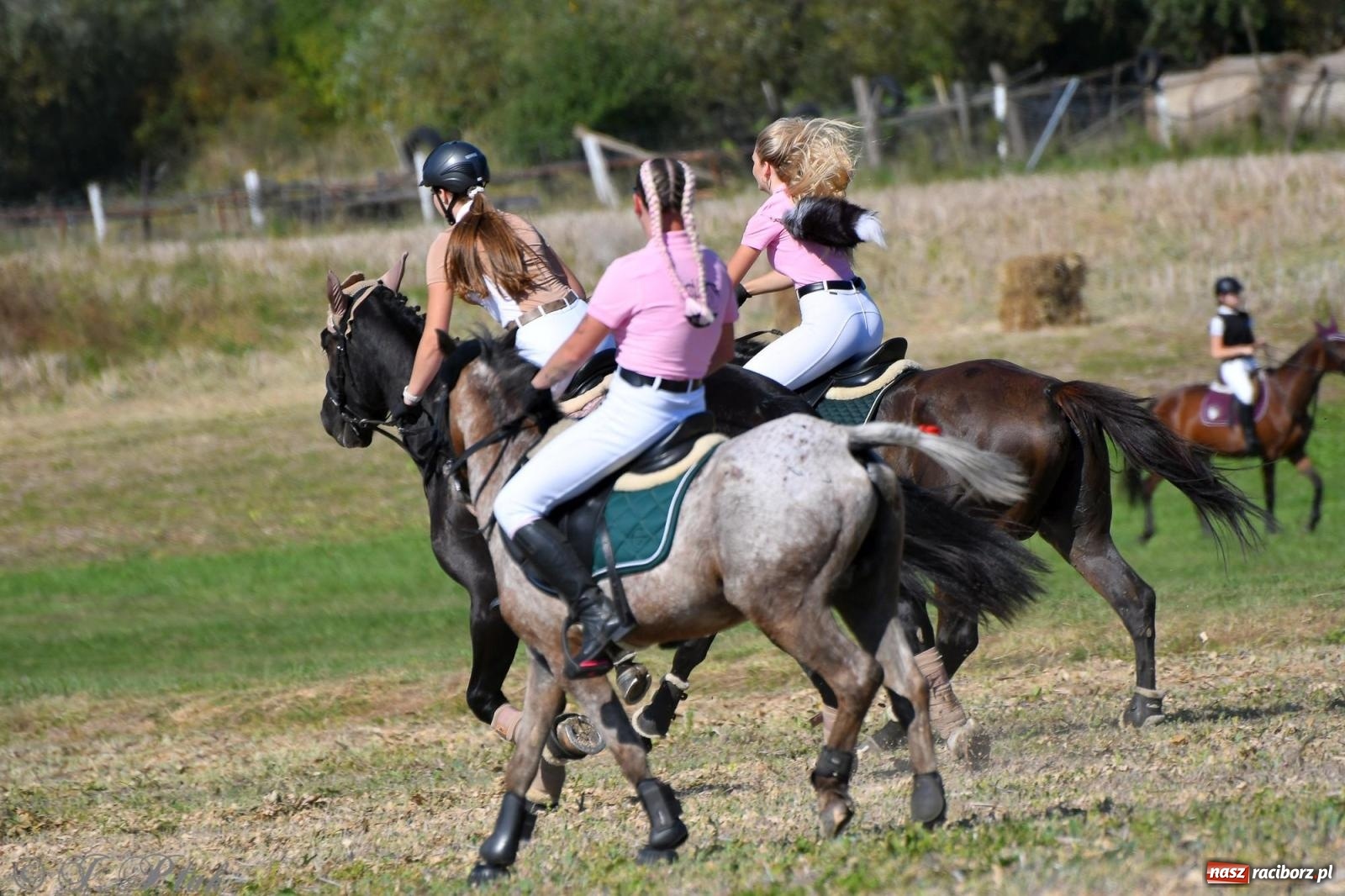 Zdjęcie w galerii na portalu naszraciborz.pl: Raciborski Hubertus - pogoń za lisem wiadomości z regionu