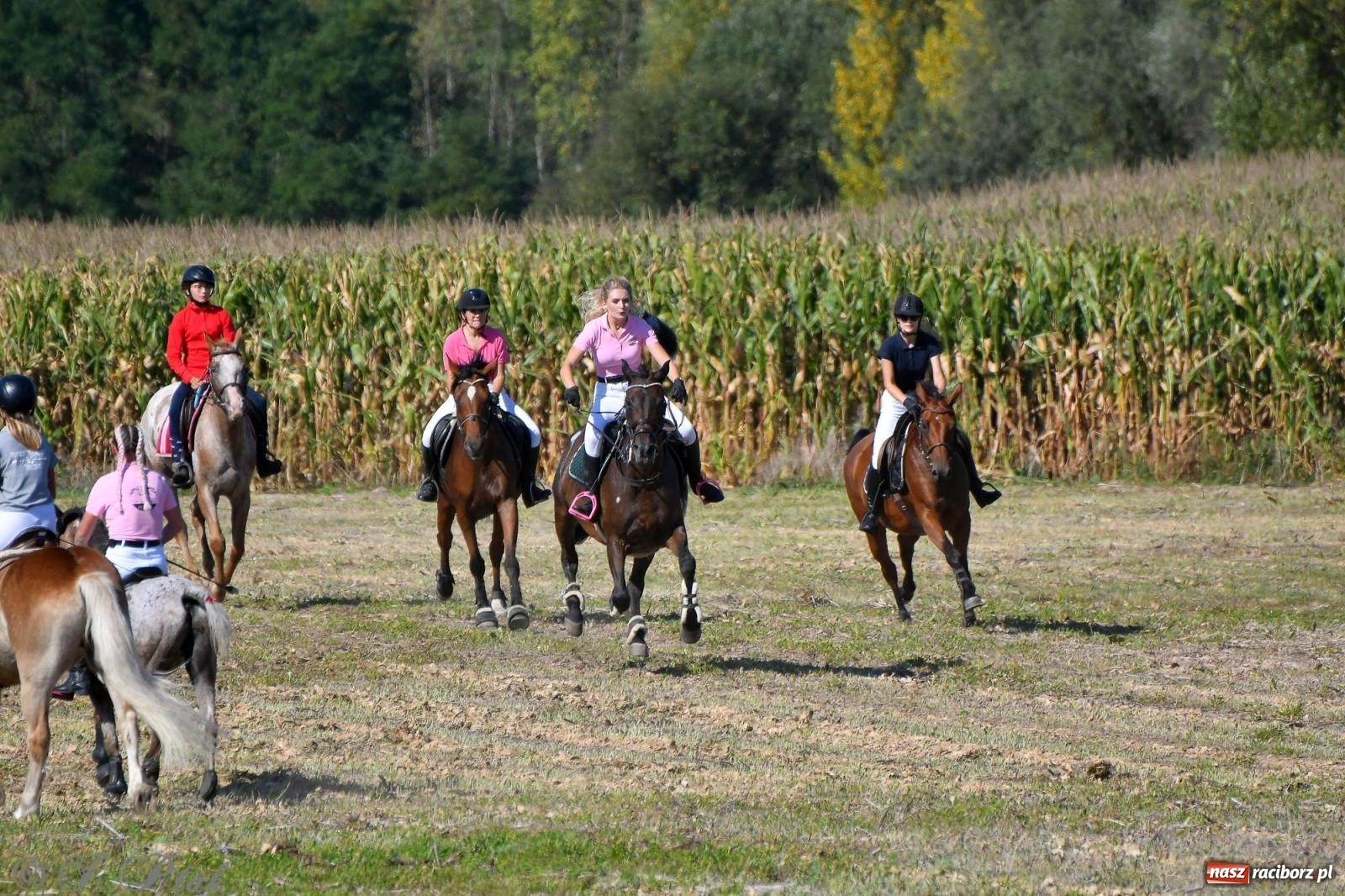 Zdjęcie w galerii na portalu naszraciborz.pl: Raciborski Hubertus - pogoń za lisem wiadomości z regionu