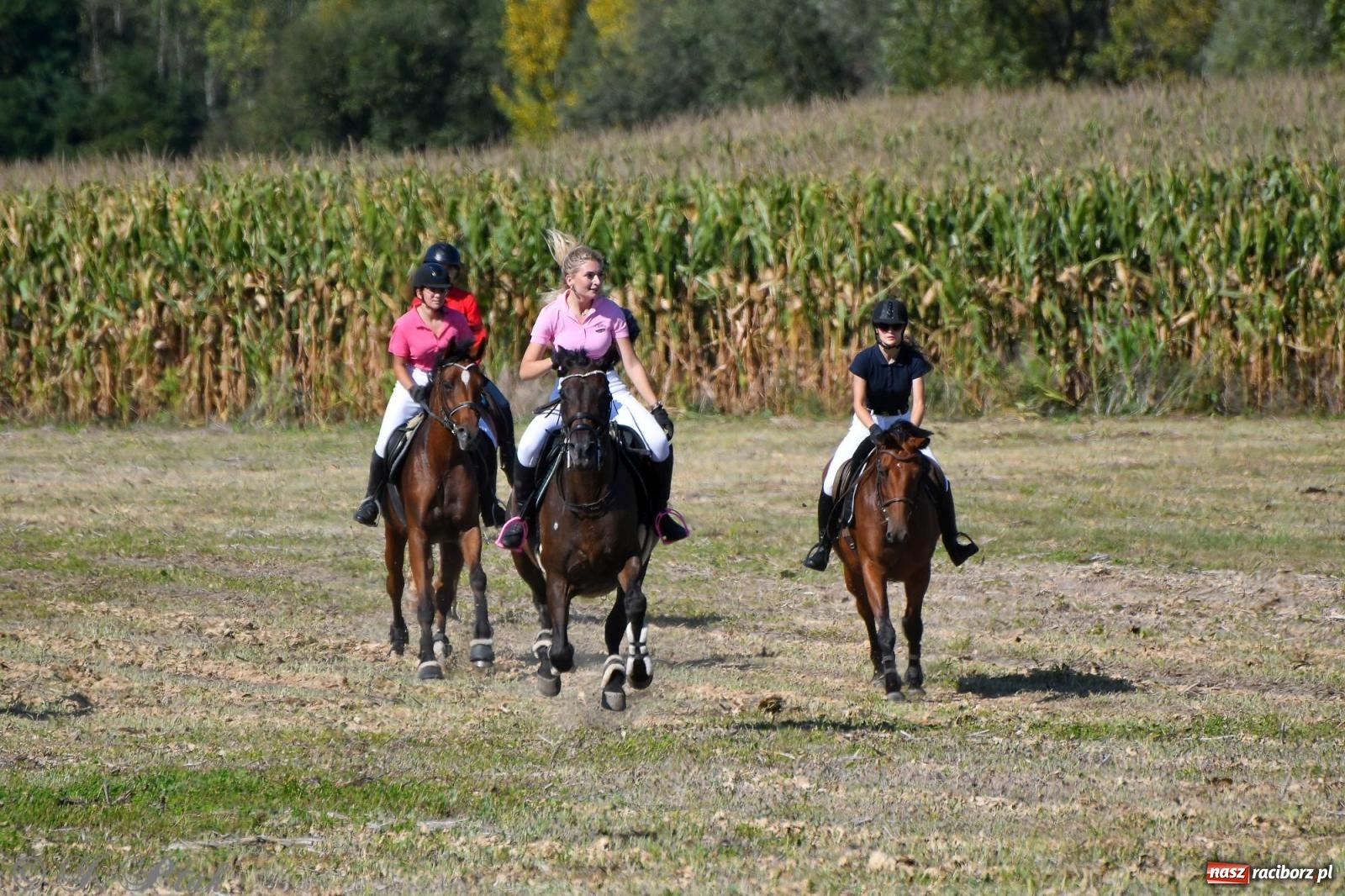 Zdjęcie w galerii na portalu naszraciborz.pl: Raciborski Hubertus - pogoń za lisem wiadomości z regionu