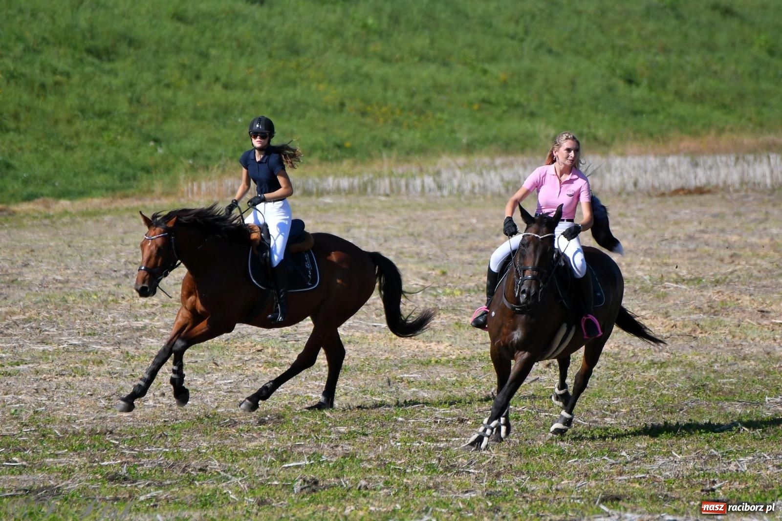 Zdjęcie w galerii na portalu naszraciborz.pl: Raciborski Hubertus - pogoń za lisem wiadomości z regionu