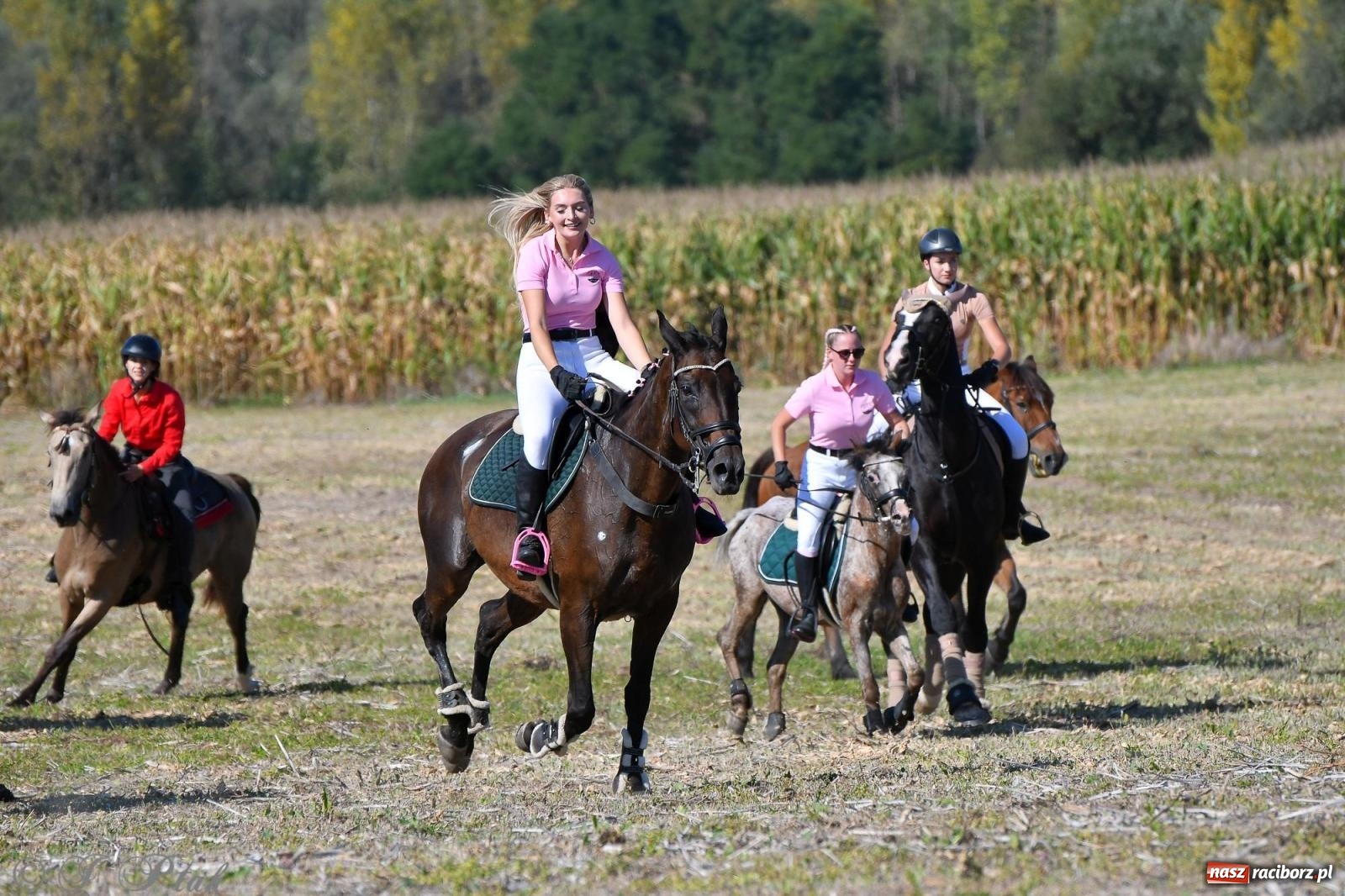 Zdjęcie w galerii na portalu naszraciborz.pl: Raciborski Hubertus - pogoń za lisem wiadomości z regionu
