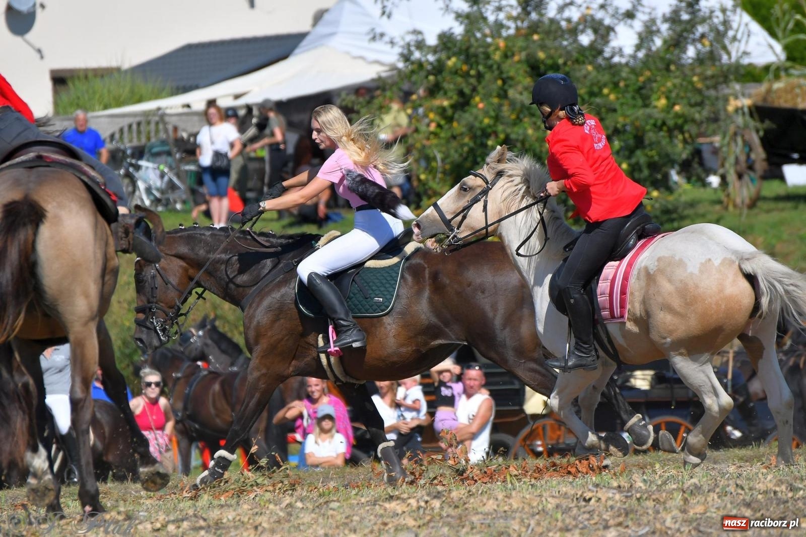 Zdjęcie w galerii na portalu naszraciborz.pl: Raciborski Hubertus - pogoń za lisem wiadomości z regionu