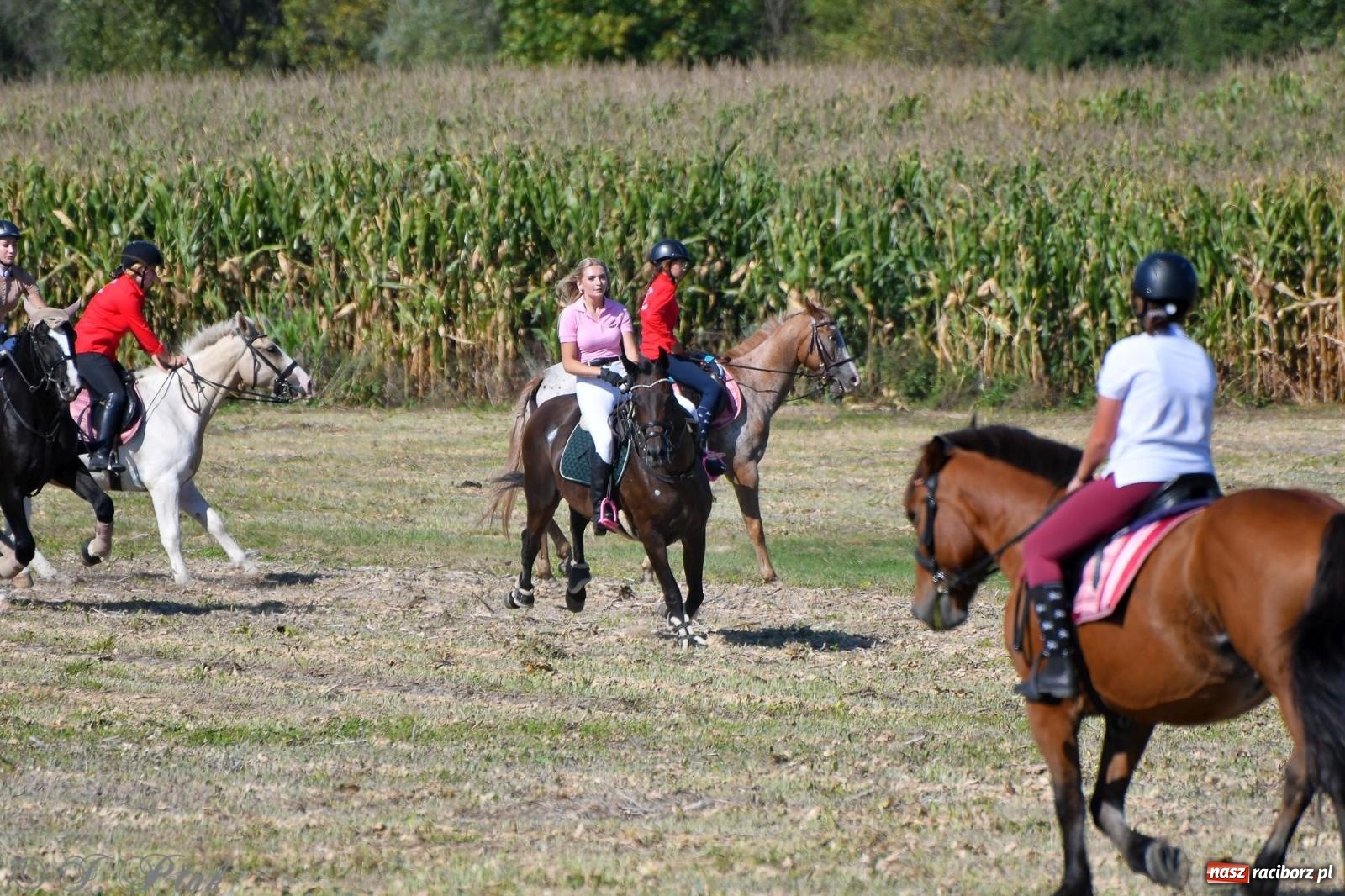 Zdjęcie w galerii na portalu naszraciborz.pl: Raciborski Hubertus - pogoń za lisem wiadomości z regionu