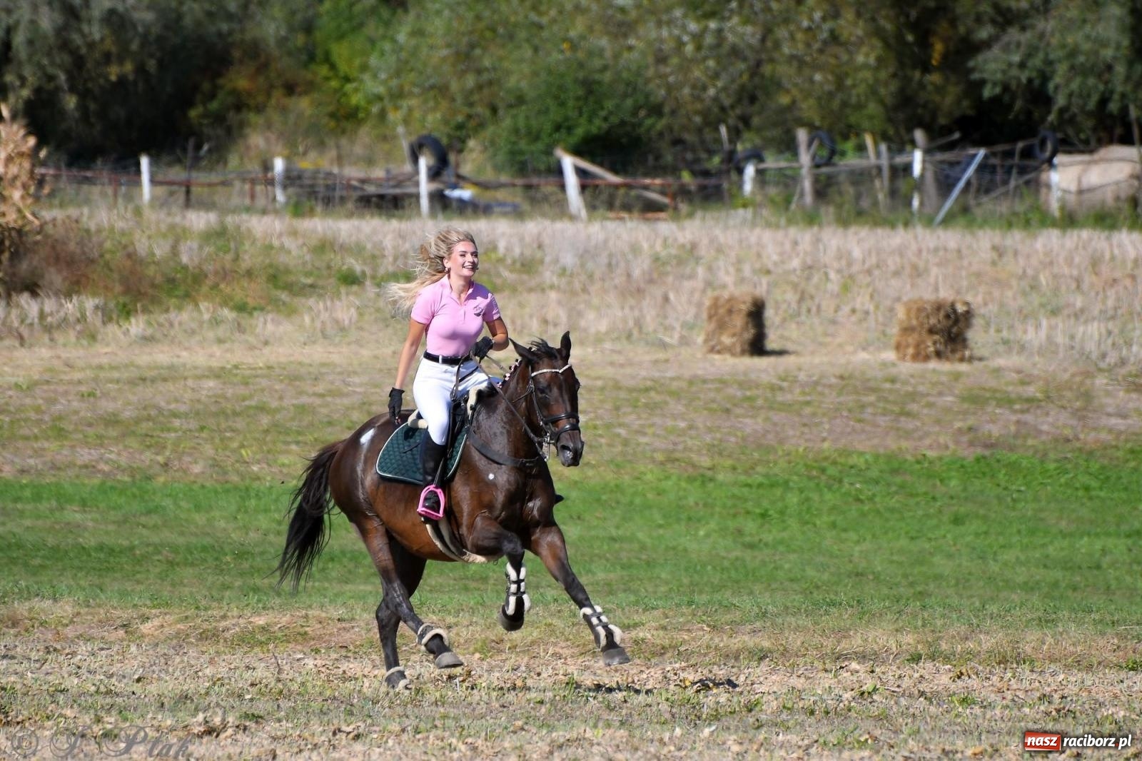 Zdjęcie w galerii na portalu naszraciborz.pl: Raciborski Hubertus - pogoń za lisem wiadomości z regionu