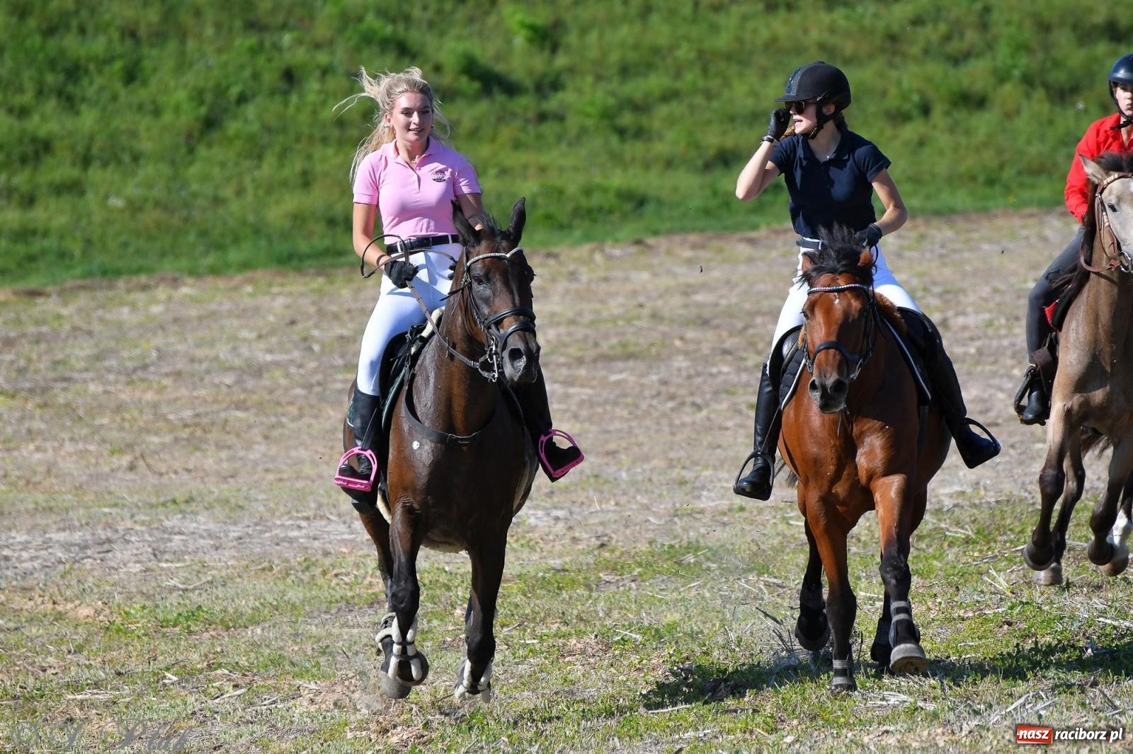 Zdjęcie w galerii na portalu naszraciborz.pl: Raciborski Hubertus - pogoń za lisem wiadomości z regionu
