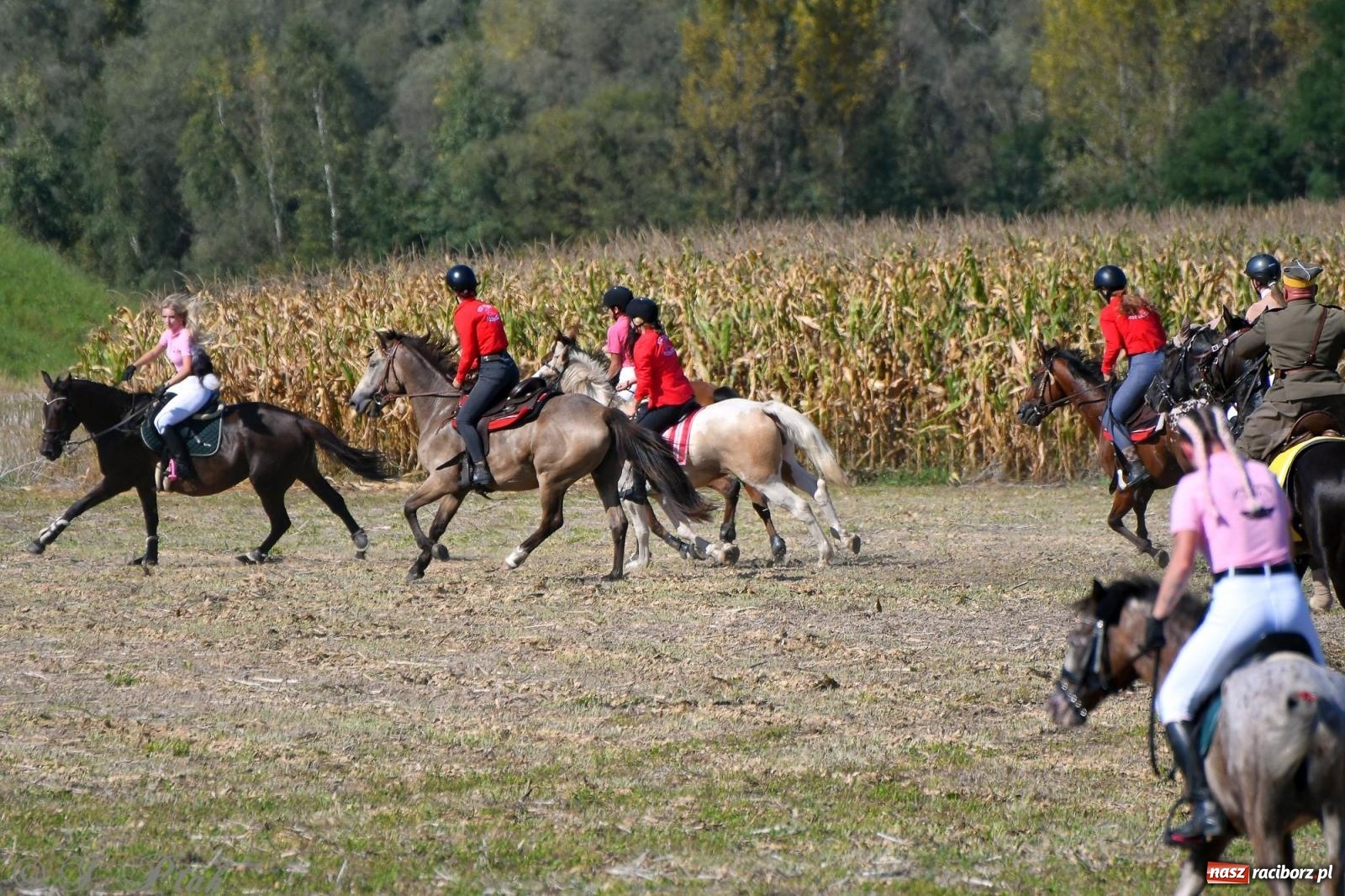 Zdjęcie w galerii na portalu naszraciborz.pl: Raciborski Hubertus - pogoń za lisem wiadomości z regionu