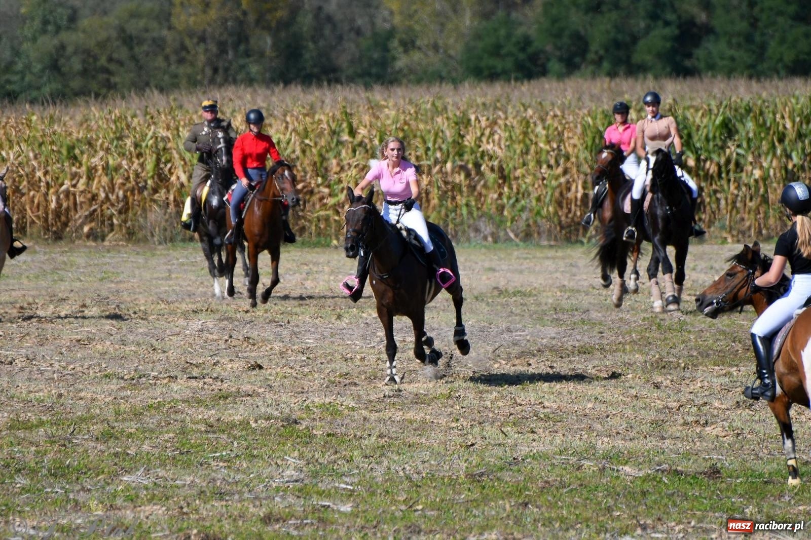 Zdjęcie w galerii na portalu naszraciborz.pl: Raciborski Hubertus - pogoń za lisem wiadomości z regionu