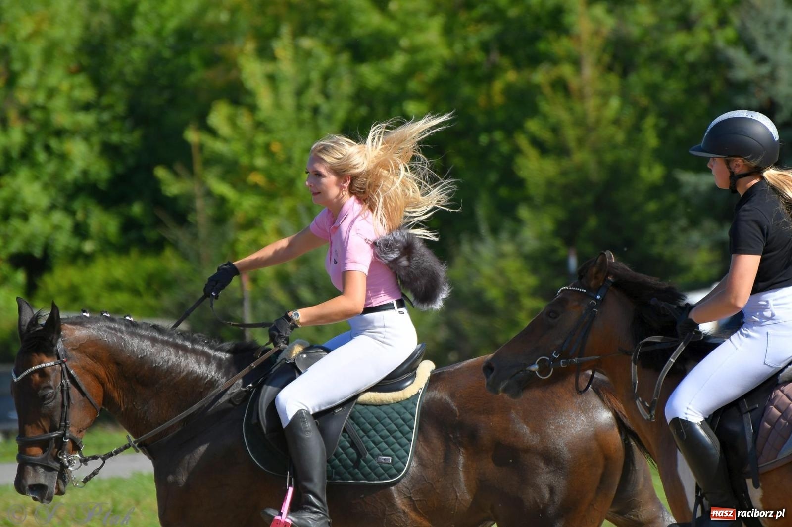 Zdjęcie w galerii na portalu naszraciborz.pl: Raciborski Hubertus - pogoń za lisem wiadomości z regionu