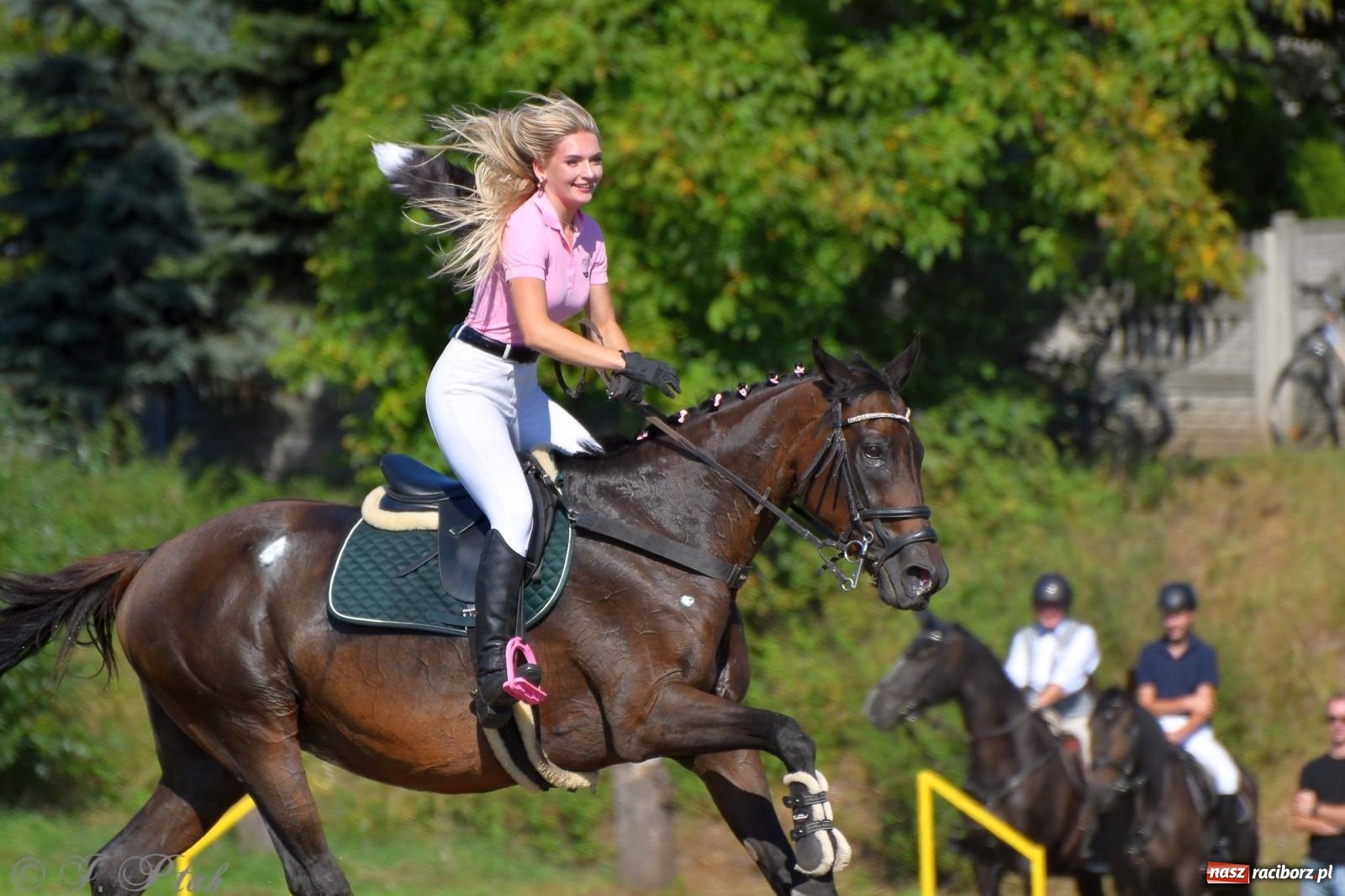 Zdjęcie w galerii na portalu naszraciborz.pl: Raciborski Hubertus - pogoń za lisem wiadomości z regionu