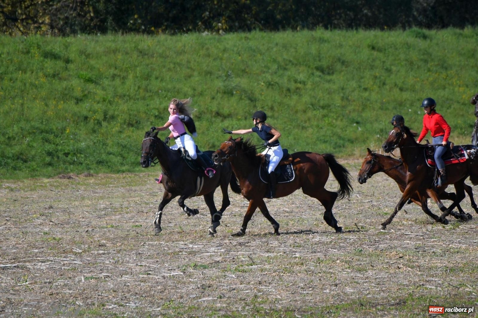 Zdjęcie w galerii na portalu naszraciborz.pl: Raciborski Hubertus - pogoń za lisem wiadomości z regionu