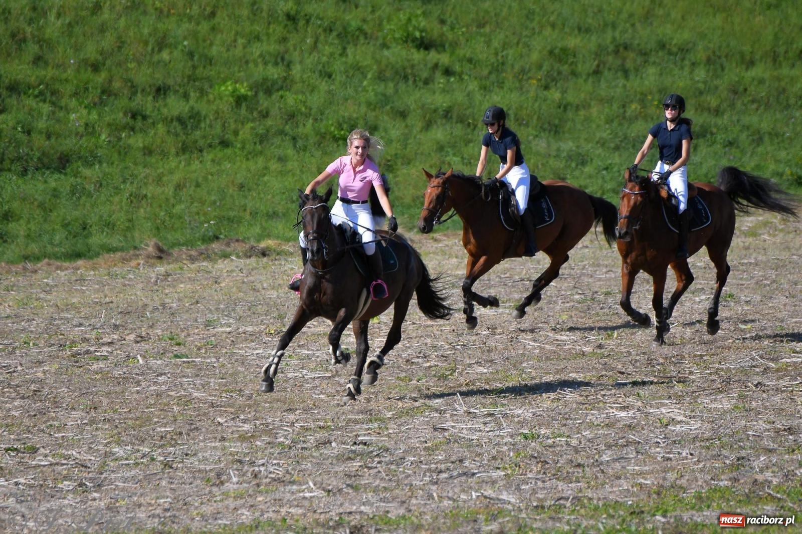 Zdjęcie w galerii na portalu naszraciborz.pl: Raciborski Hubertus - pogoń za lisem wiadomości z regionu