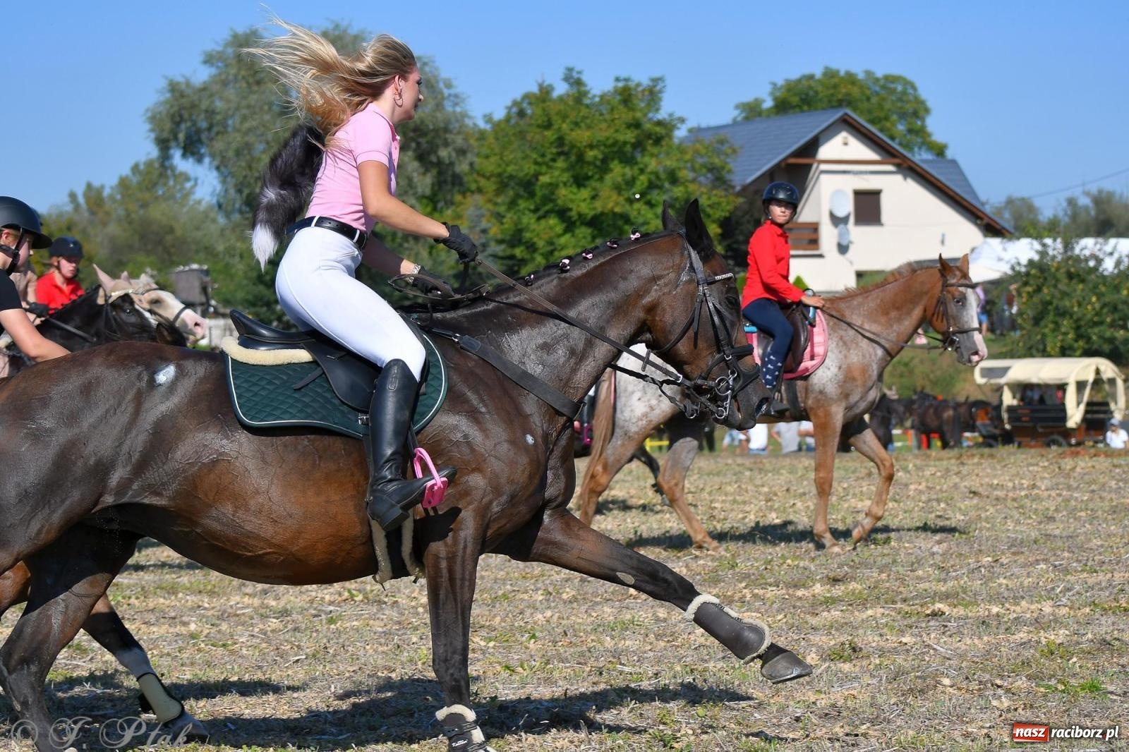Zdjęcie w galerii na portalu naszraciborz.pl: Raciborski Hubertus - pogoń za lisem wiadomości z regionu