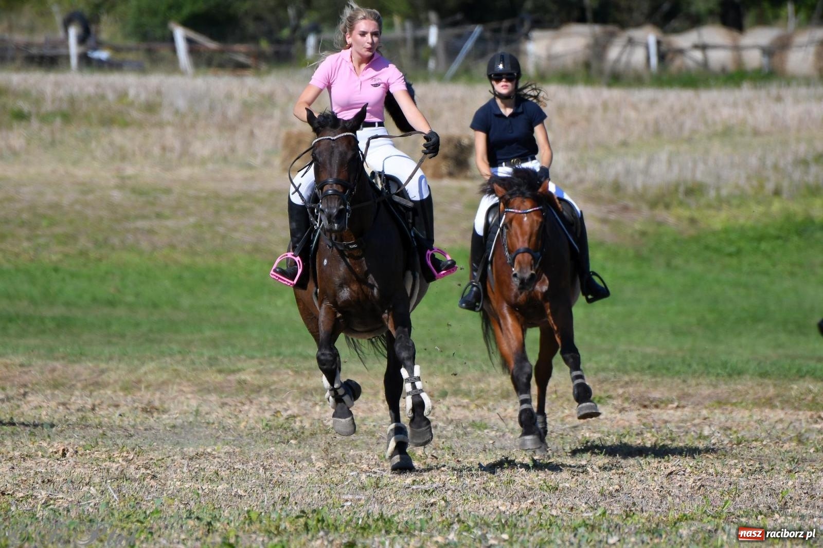 Zdjęcie w galerii na portalu naszraciborz.pl: Raciborski Hubertus - pogoń za lisem wiadomości z regionu