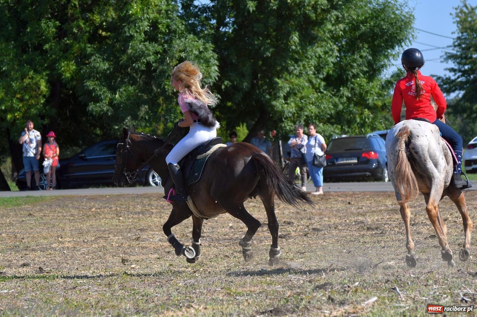Zdjęcie w galerii na portalu naszraciborz.pl: Raciborski Hubertus - pogoń za lisem wiadomości z regionu