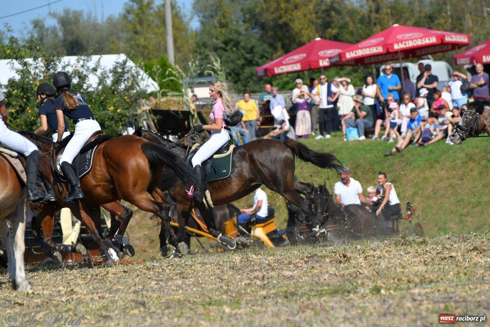 Zdjęcie w galerii na portalu naszraciborz.pl: Raciborski Hubertus - pogoń za lisem wiadomości z regionu