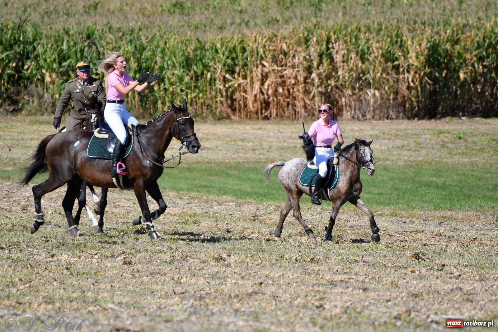 Zdjęcie w galerii na portalu naszraciborz.pl: Raciborski Hubertus - pogoń za lisem wiadomości z regionu