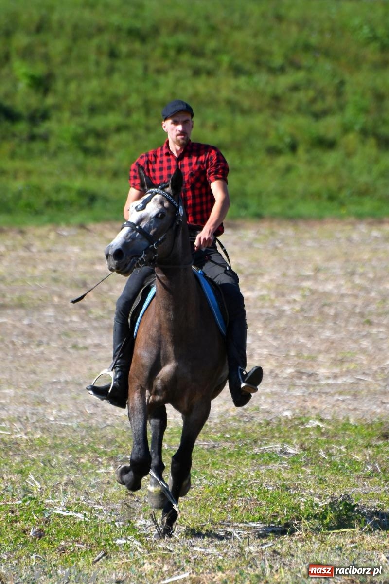 Zdjęcie w galerii na portalu naszraciborz.pl: Raciborski Hubertus - pogoń za lisem wiadomości z regionu