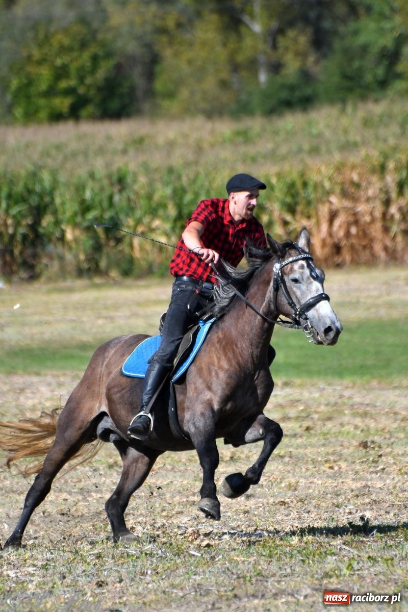 Zdjęcie w galerii na portalu naszraciborz.pl: Raciborski Hubertus - pogoń za lisem wiadomości z regionu