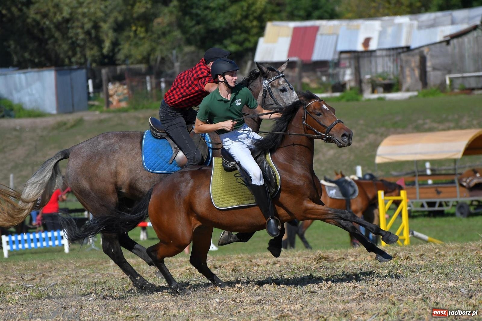 Zdjęcie w galerii na portalu naszraciborz.pl: Raciborski Hubertus - pogoń za lisem wiadomości z regionu