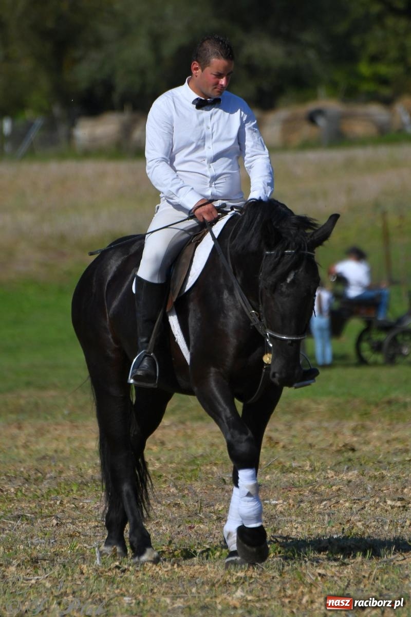 Zdjęcie w galerii na portalu naszraciborz.pl: Raciborski Hubertus - pogoń za lisem wiadomości z regionu