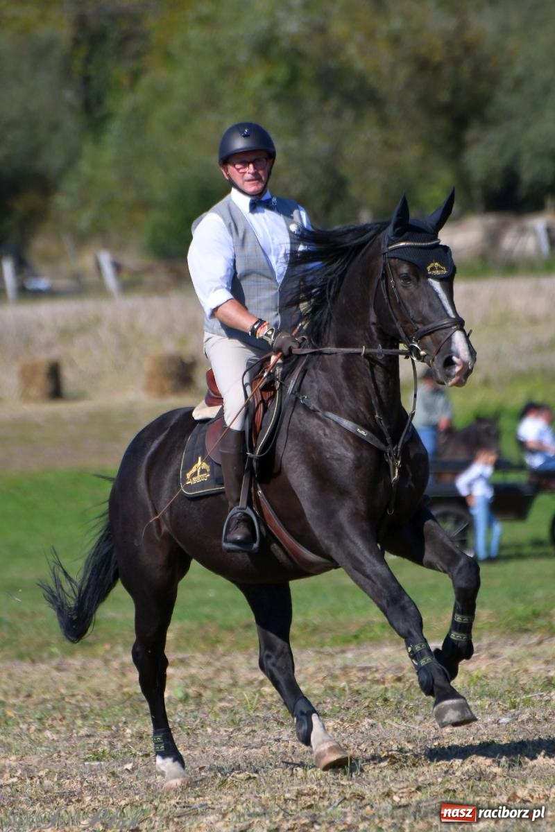Zdjęcie w galerii na portalu naszraciborz.pl: Raciborski Hubertus - pogoń za lisem wiadomości z regionu