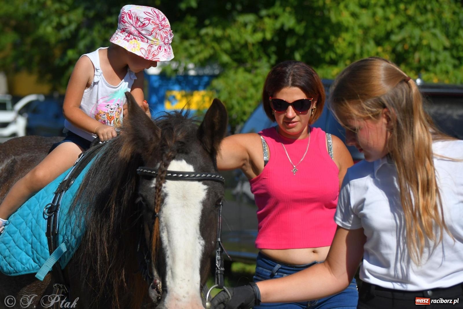 Zdjęcie w galerii na portalu naszraciborz.pl: Raciborski Hubertus - pogoń za lisem wiadomości z regionu