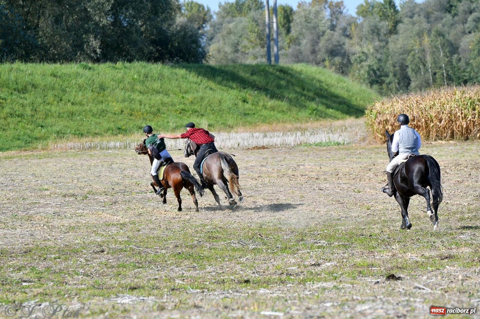 Zdjęcie w galerii na portalu naszraciborz.pl: Raciborski Hubertus - pogoń za lisem wiadomości z regionu