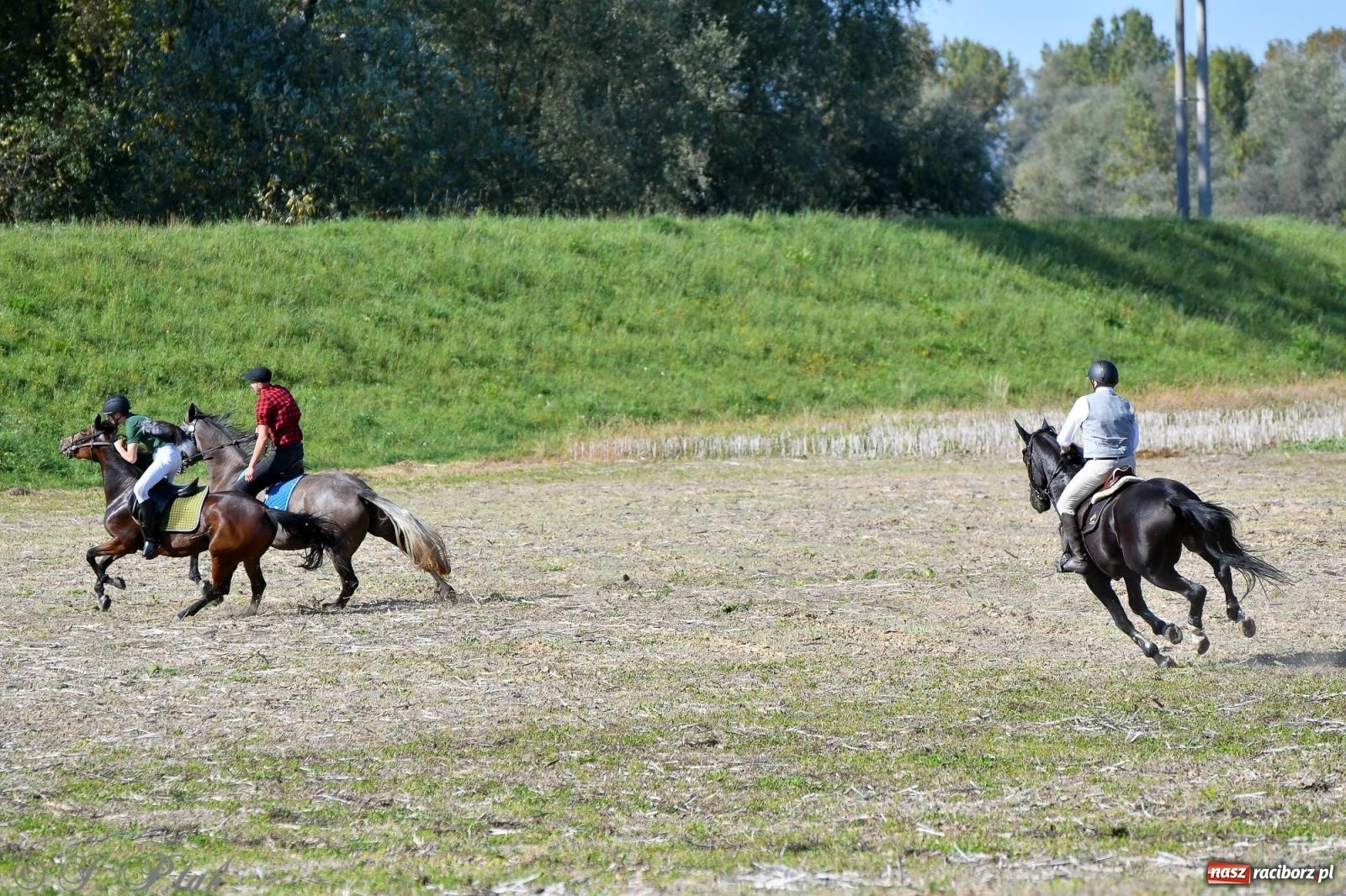 Zdjęcie w galerii na portalu naszraciborz.pl: Raciborski Hubertus - pogoń za lisem wiadomości z regionu