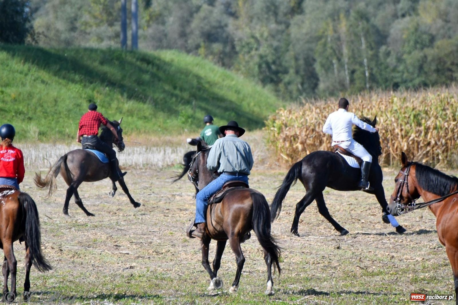 Zdjęcie w galerii na portalu naszraciborz.pl: Raciborski Hubertus - pogoń za lisem wiadomości z regionu