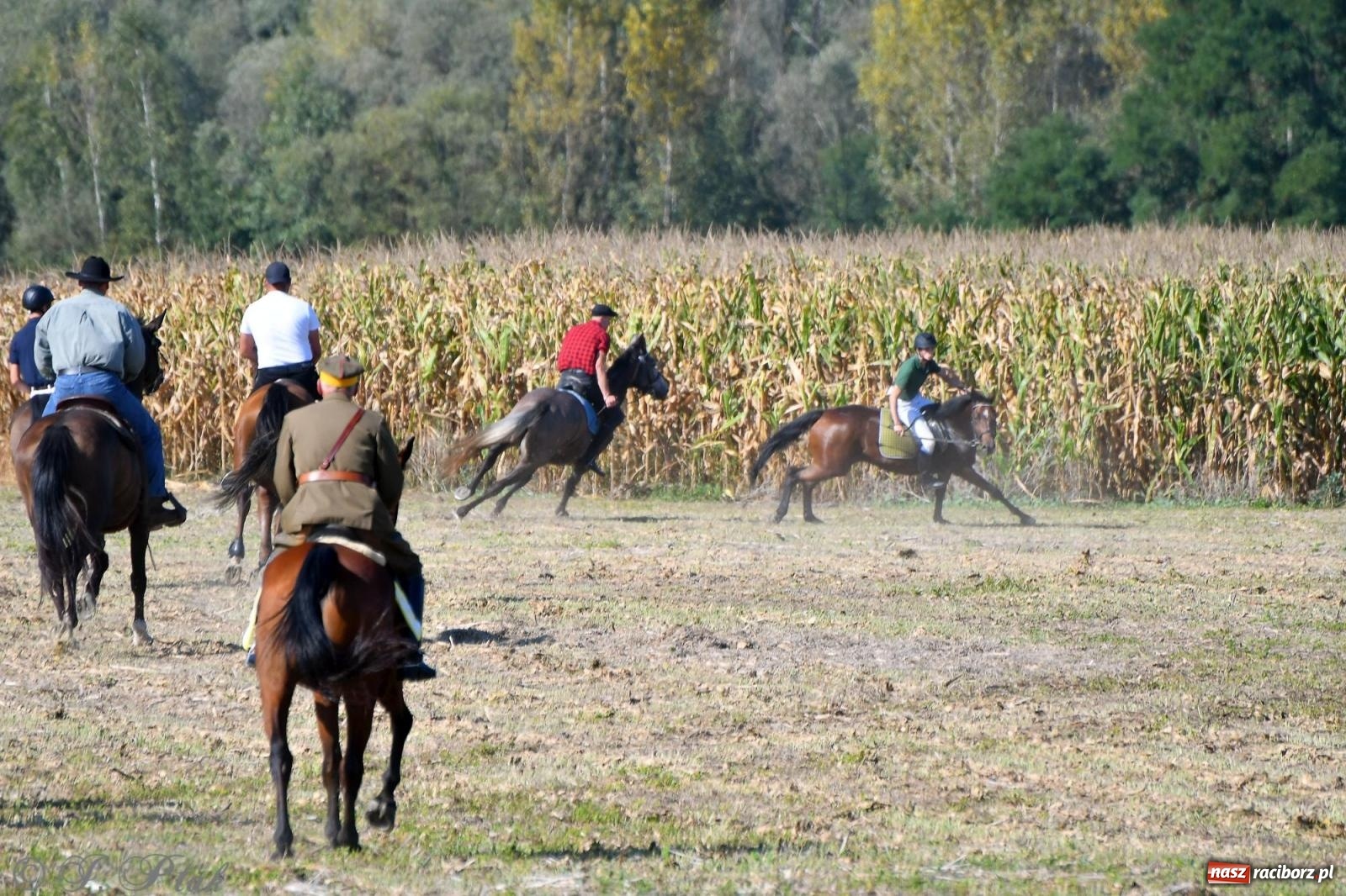 Zdjęcie w galerii na portalu naszraciborz.pl: Raciborski Hubertus - pogoń za lisem wiadomości z regionu