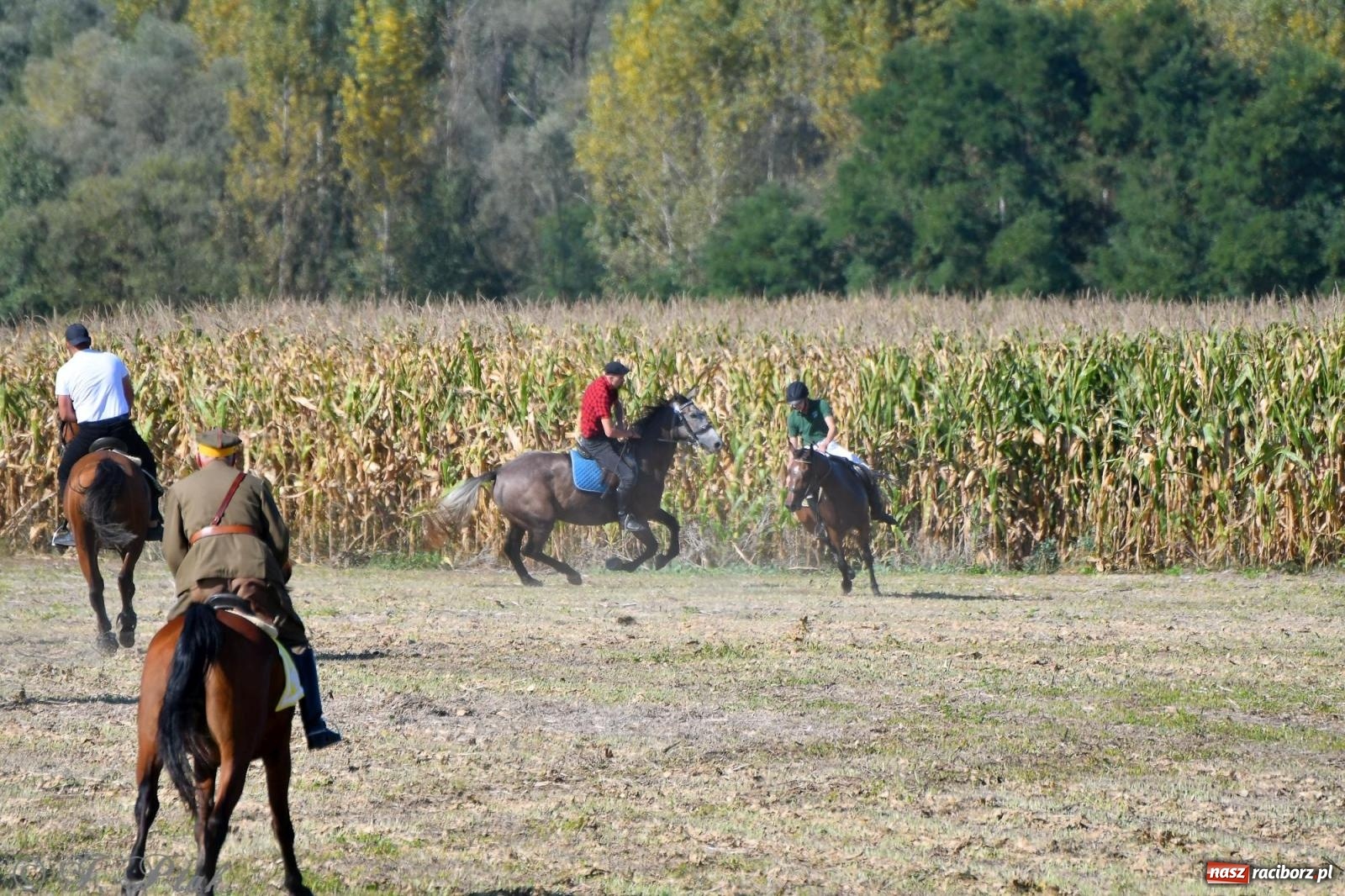 Zdjęcie w galerii na portalu naszraciborz.pl: Raciborski Hubertus - pogoń za lisem wiadomości z regionu