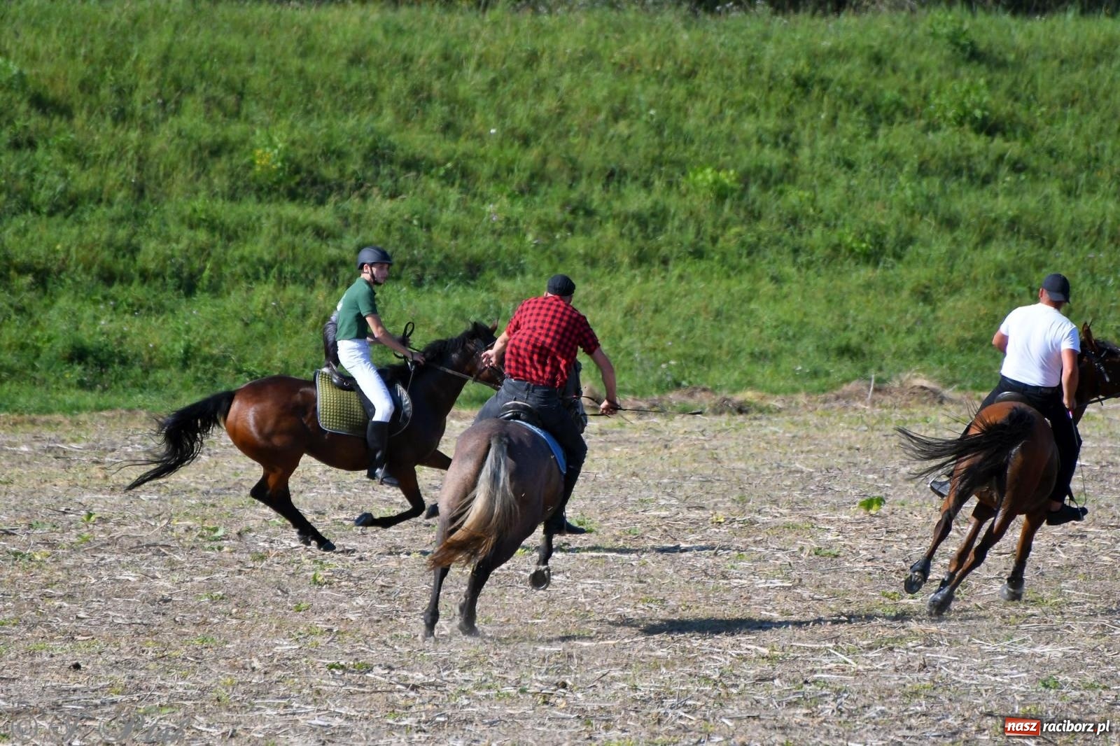 Zdjęcie w galerii na portalu naszraciborz.pl: Raciborski Hubertus - pogoń za lisem wiadomości z regionu