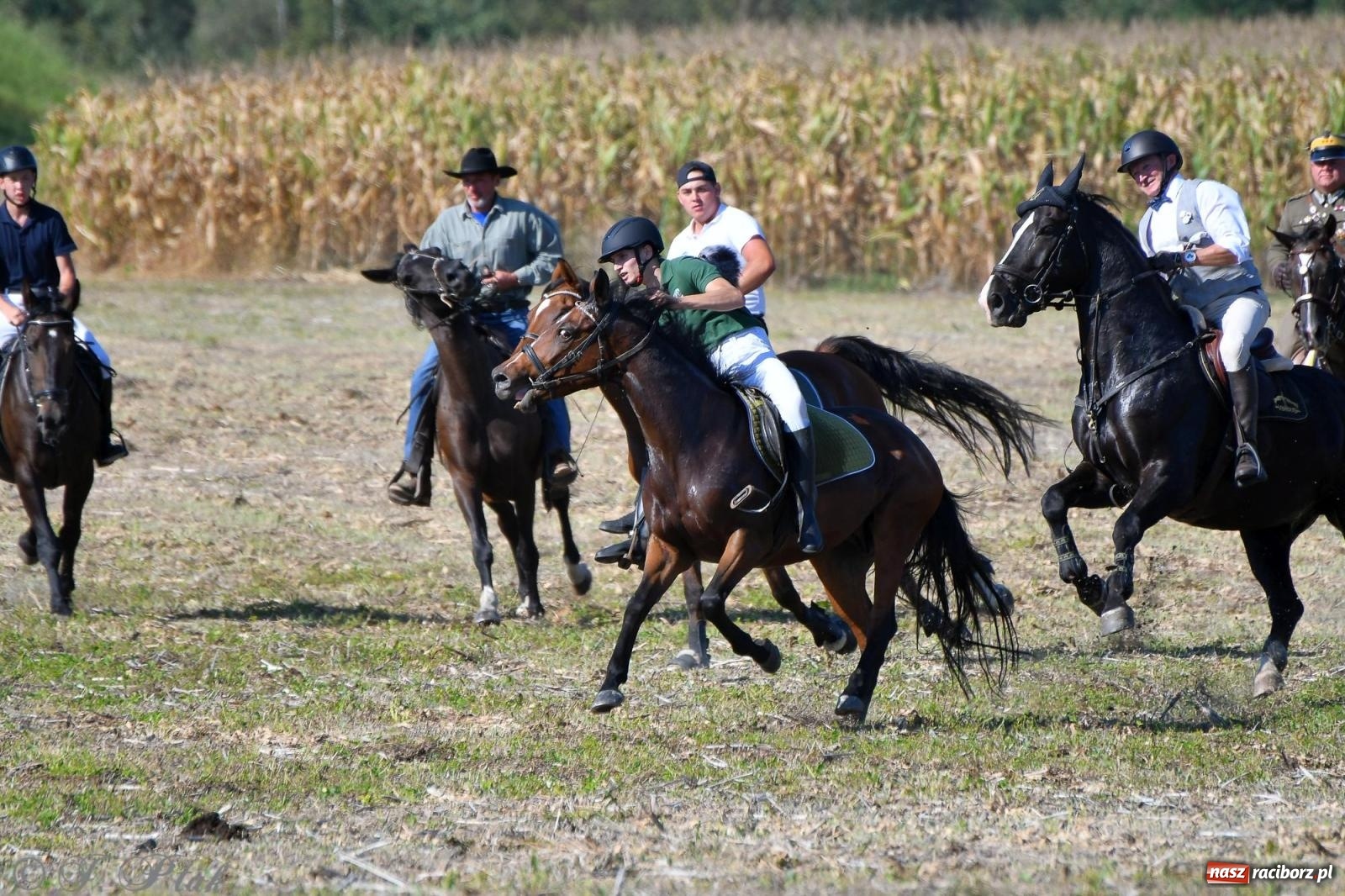 Zdjęcie w galerii na portalu naszraciborz.pl: Raciborski Hubertus - pogoń za lisem wiadomości z regionu