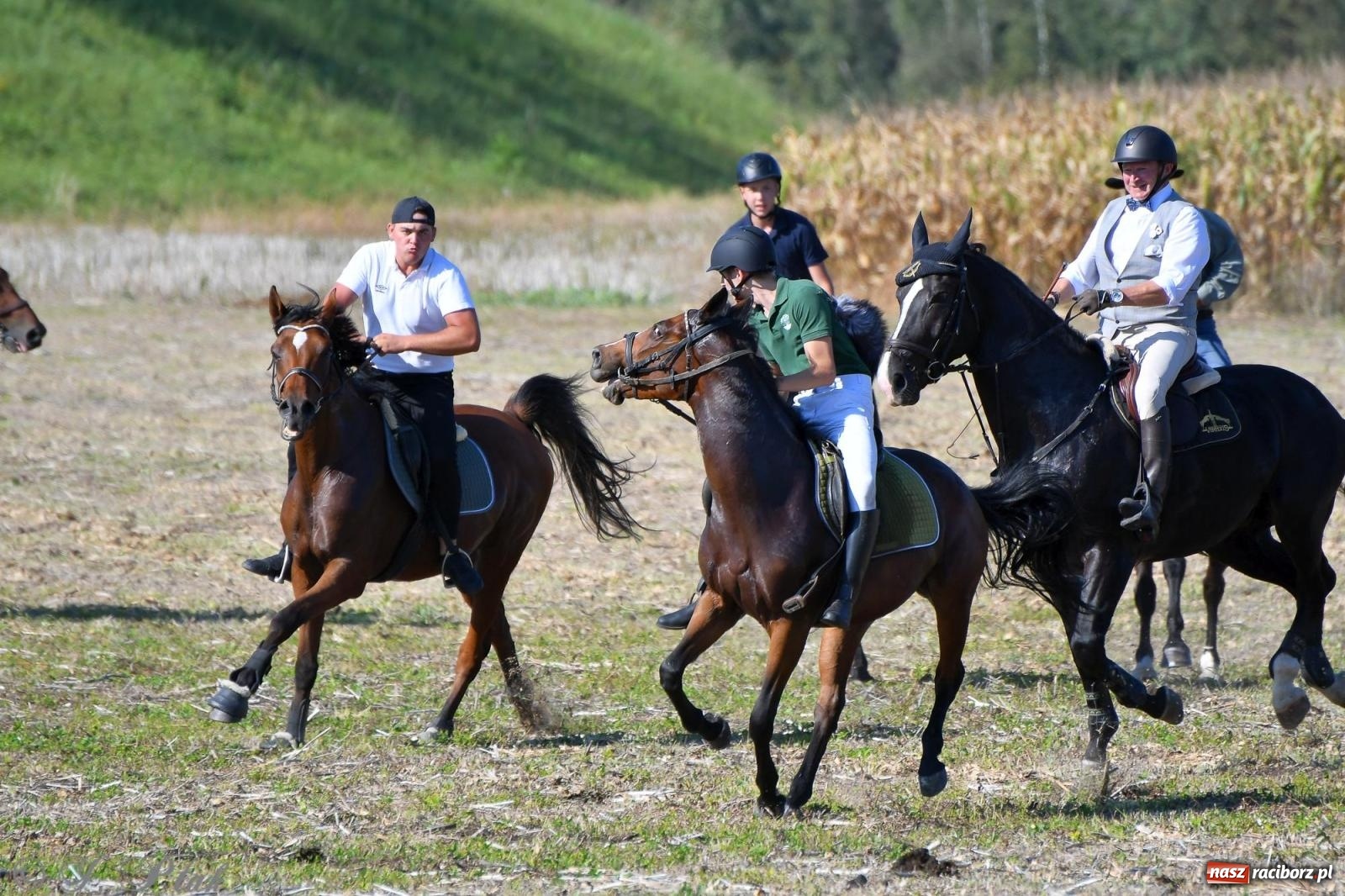 Zdjęcie w galerii na portalu naszraciborz.pl: Raciborski Hubertus - pogoń za lisem wiadomości z regionu
