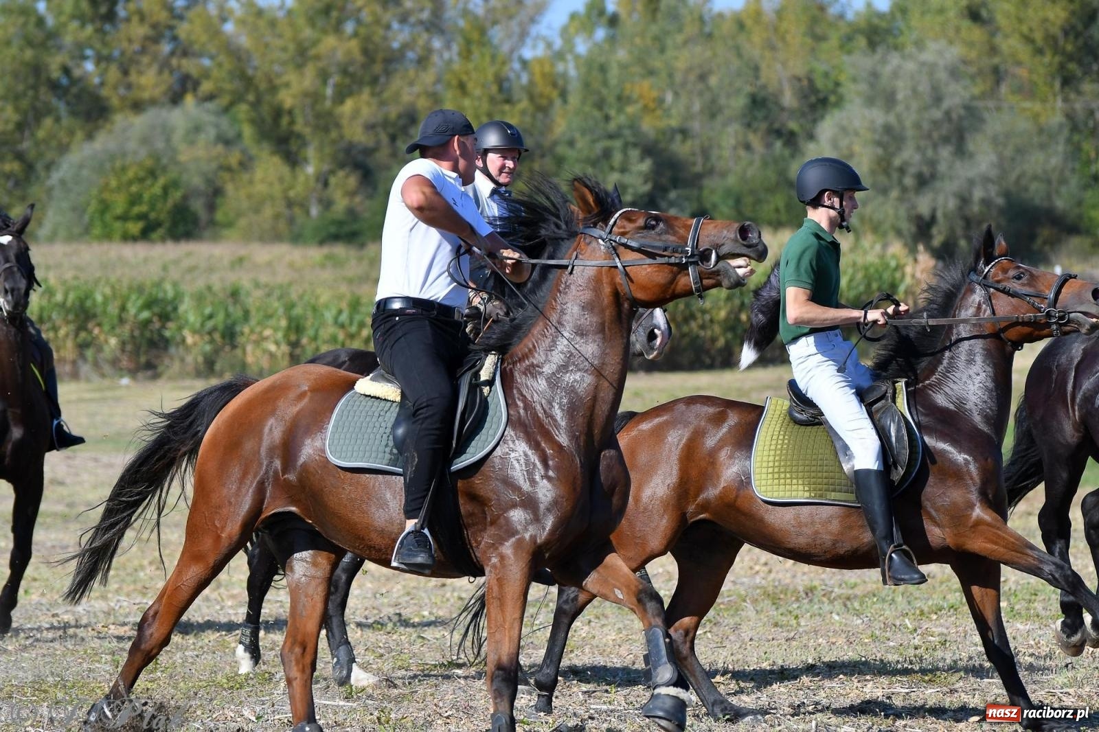 Zdjęcie w galerii na portalu naszraciborz.pl: Raciborski Hubertus - pogoń za lisem wiadomości z regionu