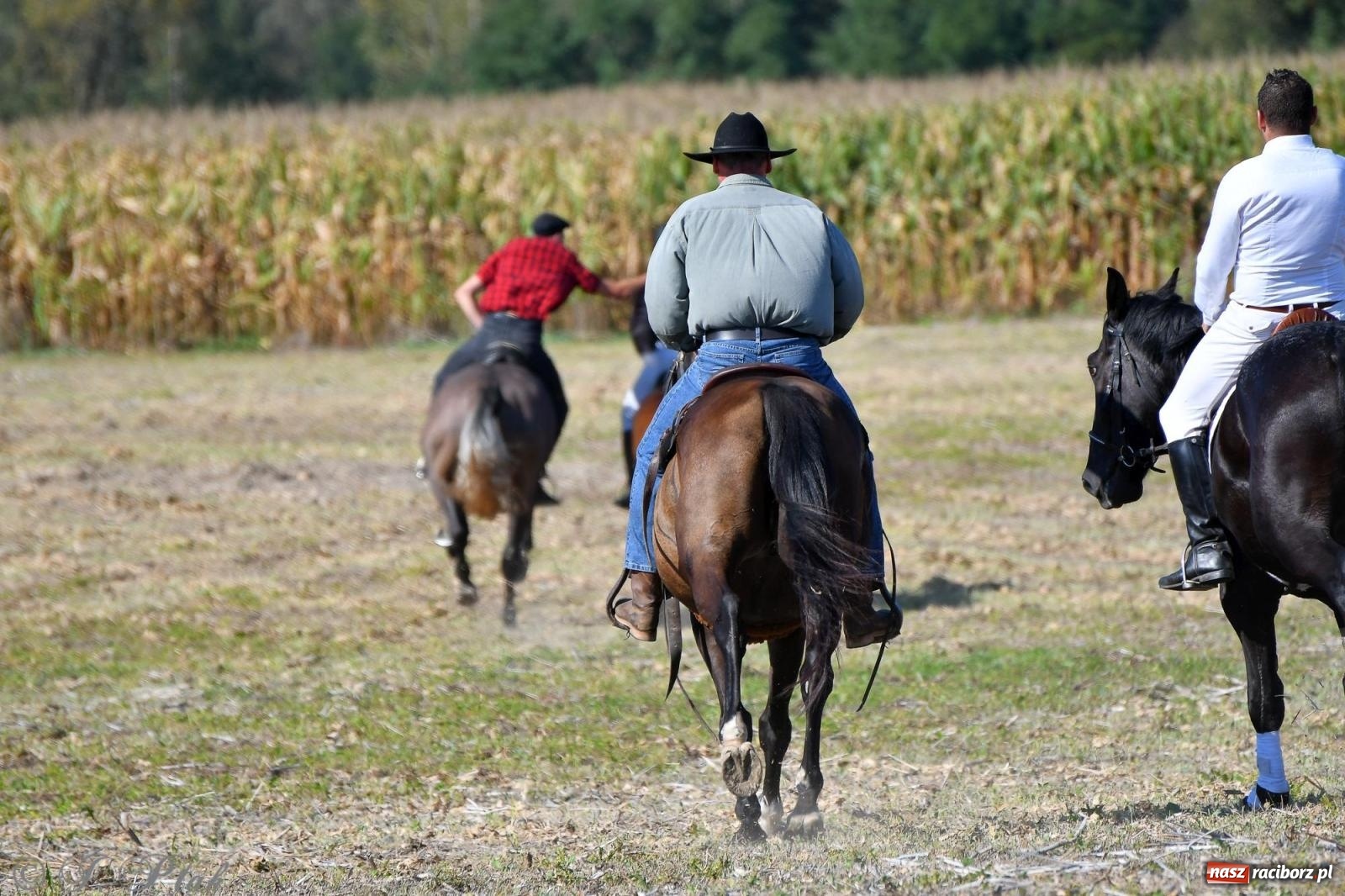 Zdjęcie w galerii na portalu naszraciborz.pl: Raciborski Hubertus - pogoń za lisem wiadomości z regionu